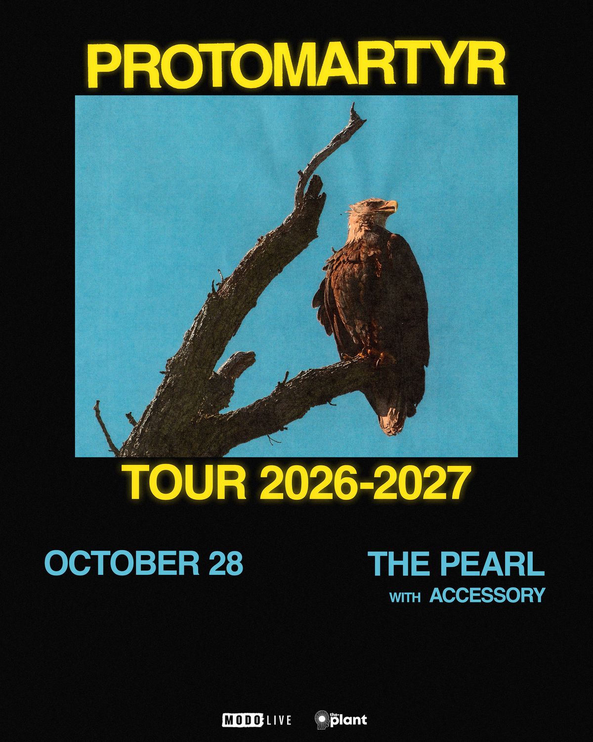 Protomartyr live