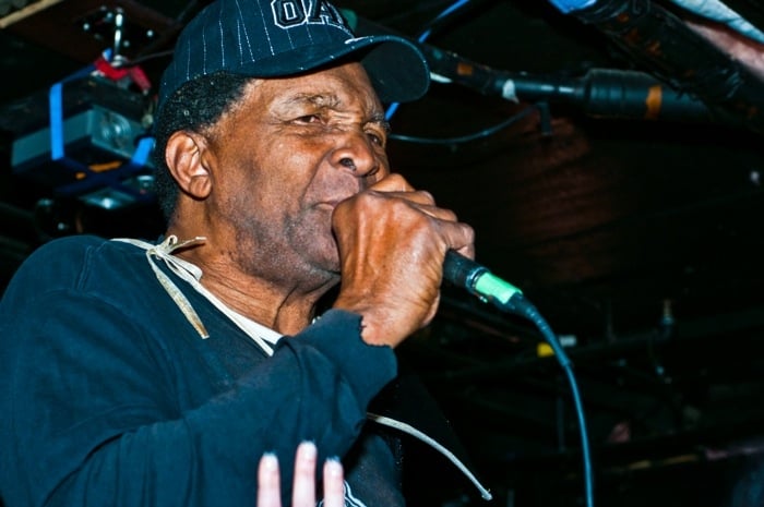 Blowfly - photo 3