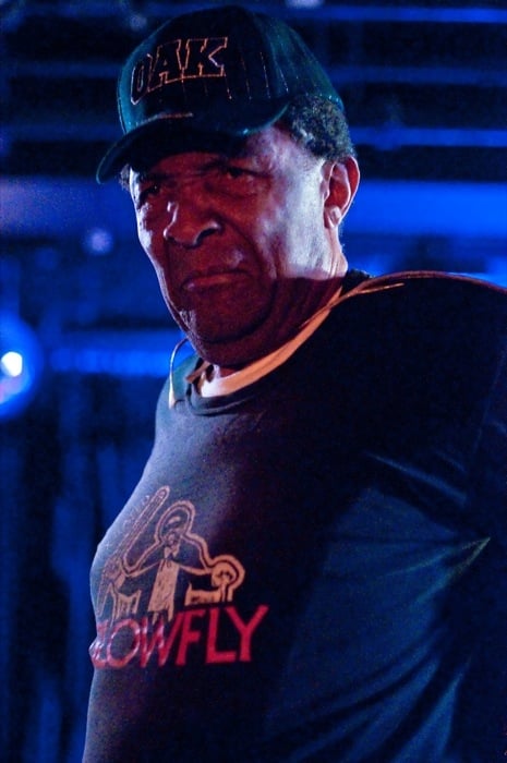 Blowfly - photo 10