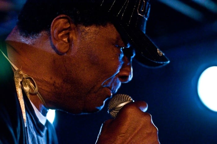 Blowfly - photo 14