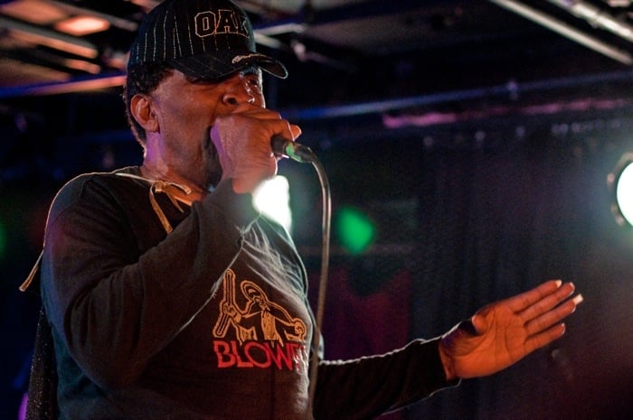 Blowfly - photo 19