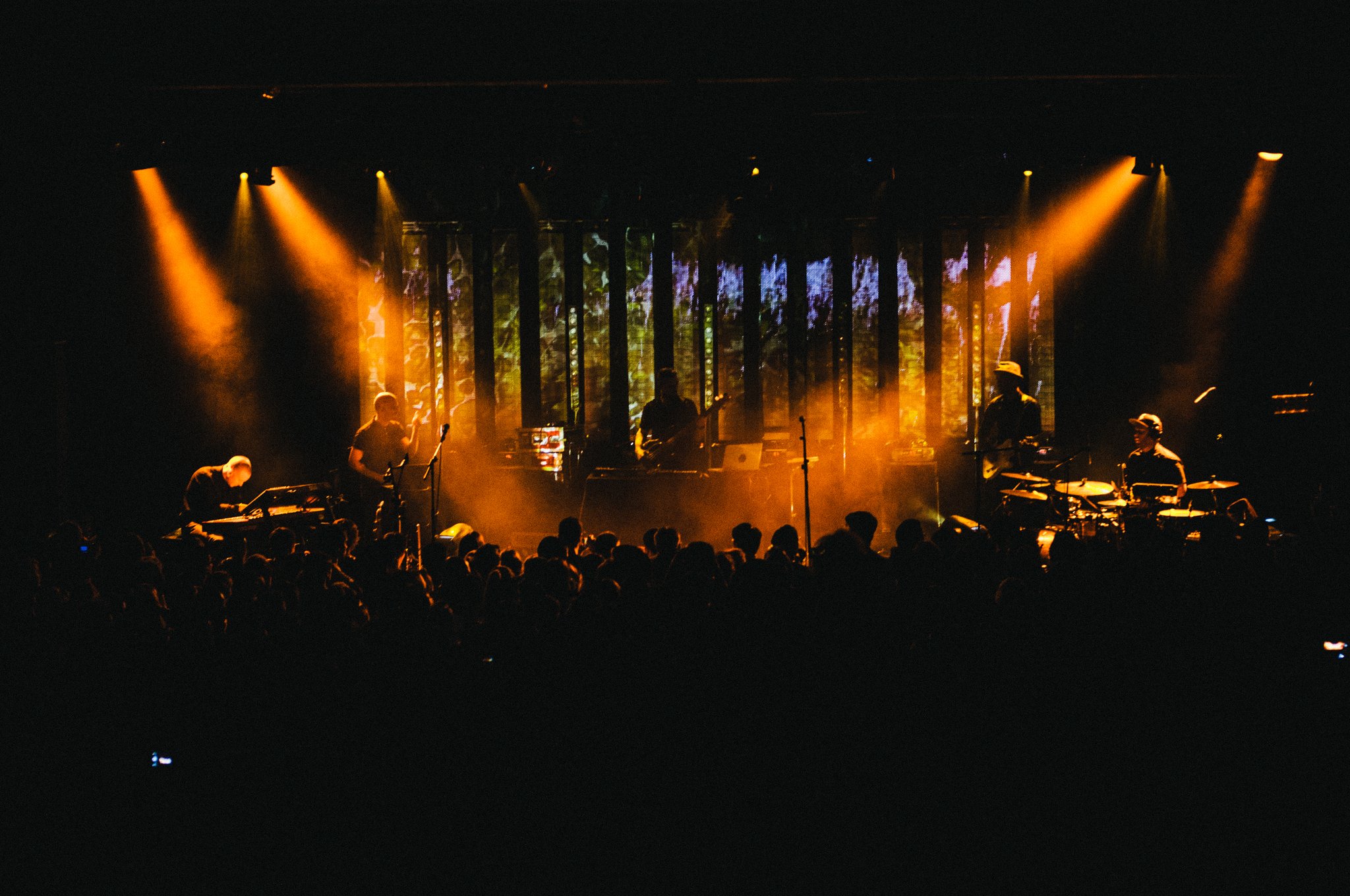 Bonobo - photo 9