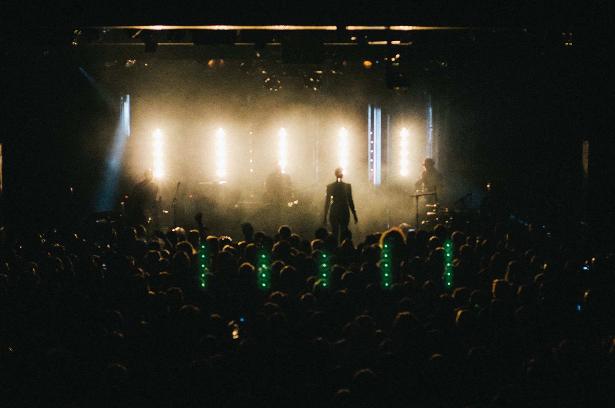 Bonobo - photo 14