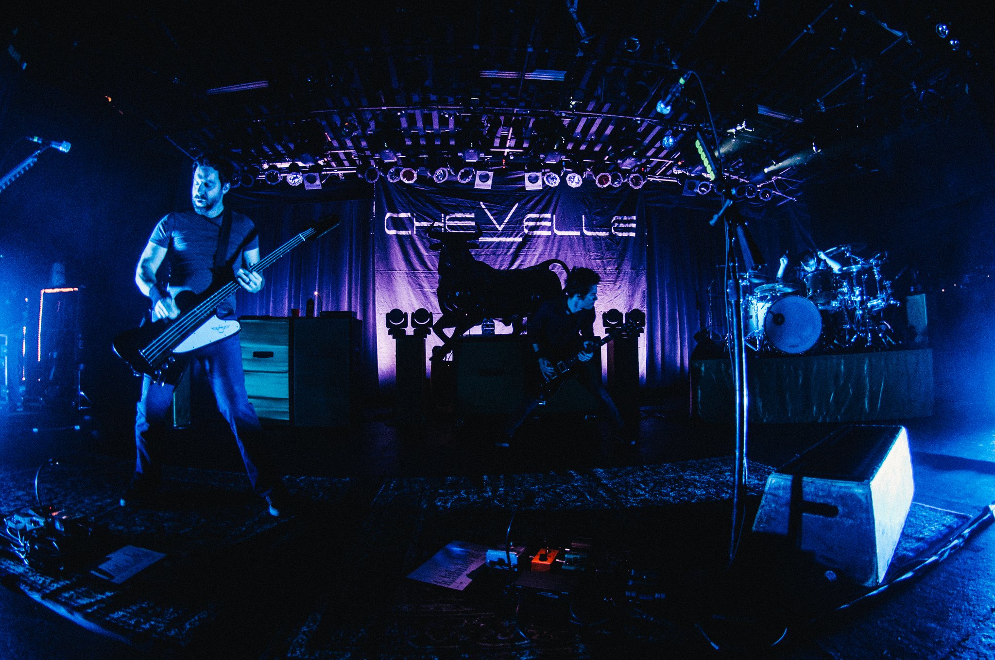 Chevelle - photo 4