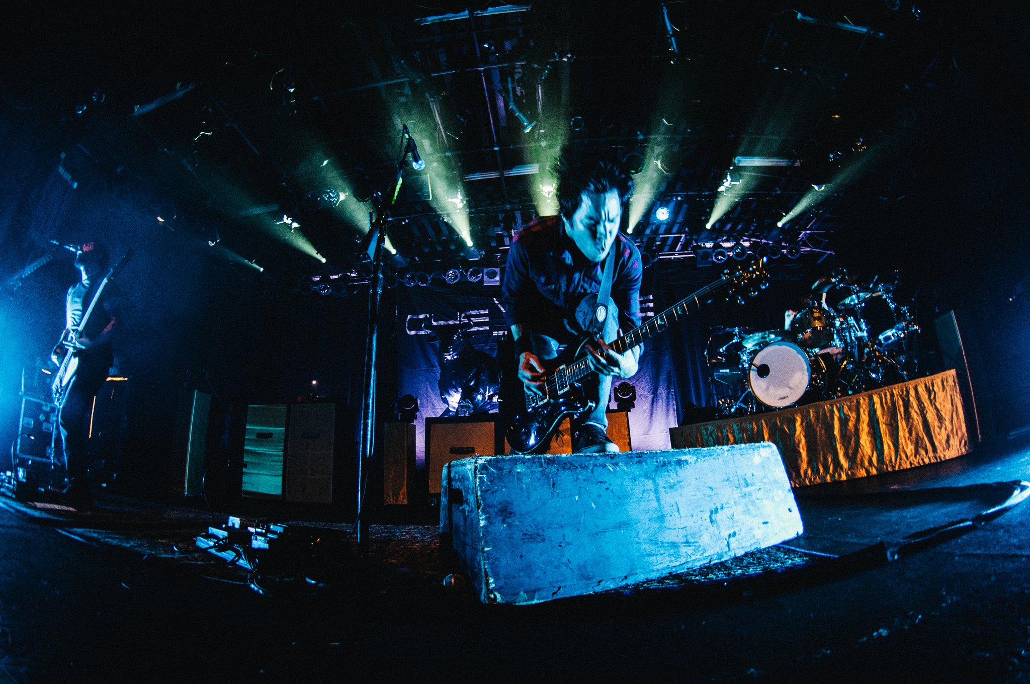 Chevelle - photo 15