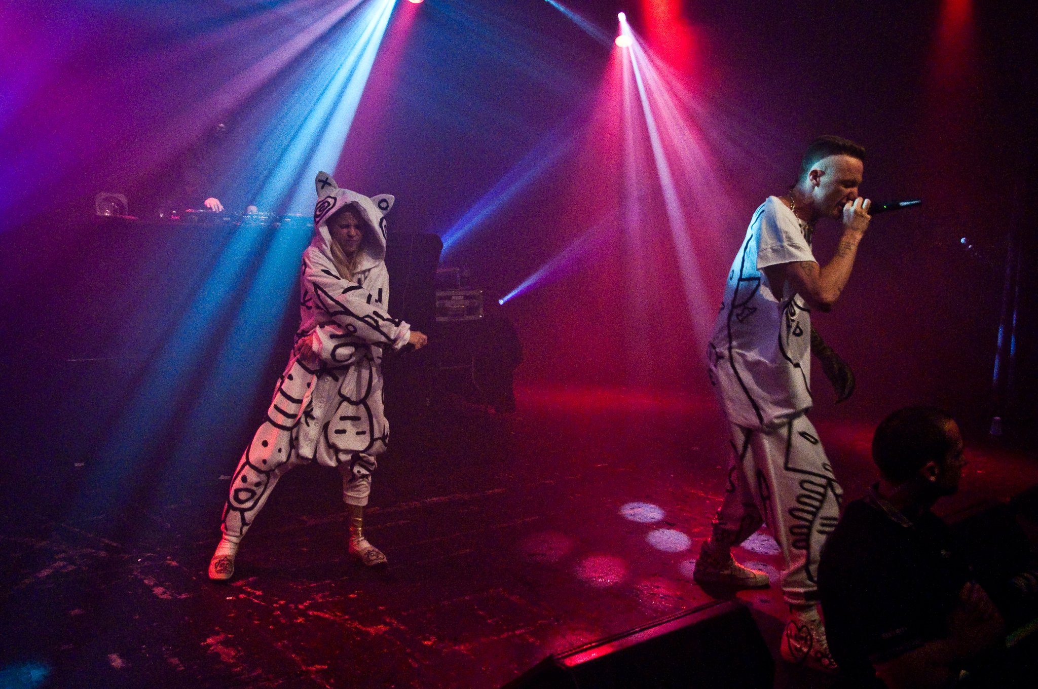 Die Antwoord - photo 21