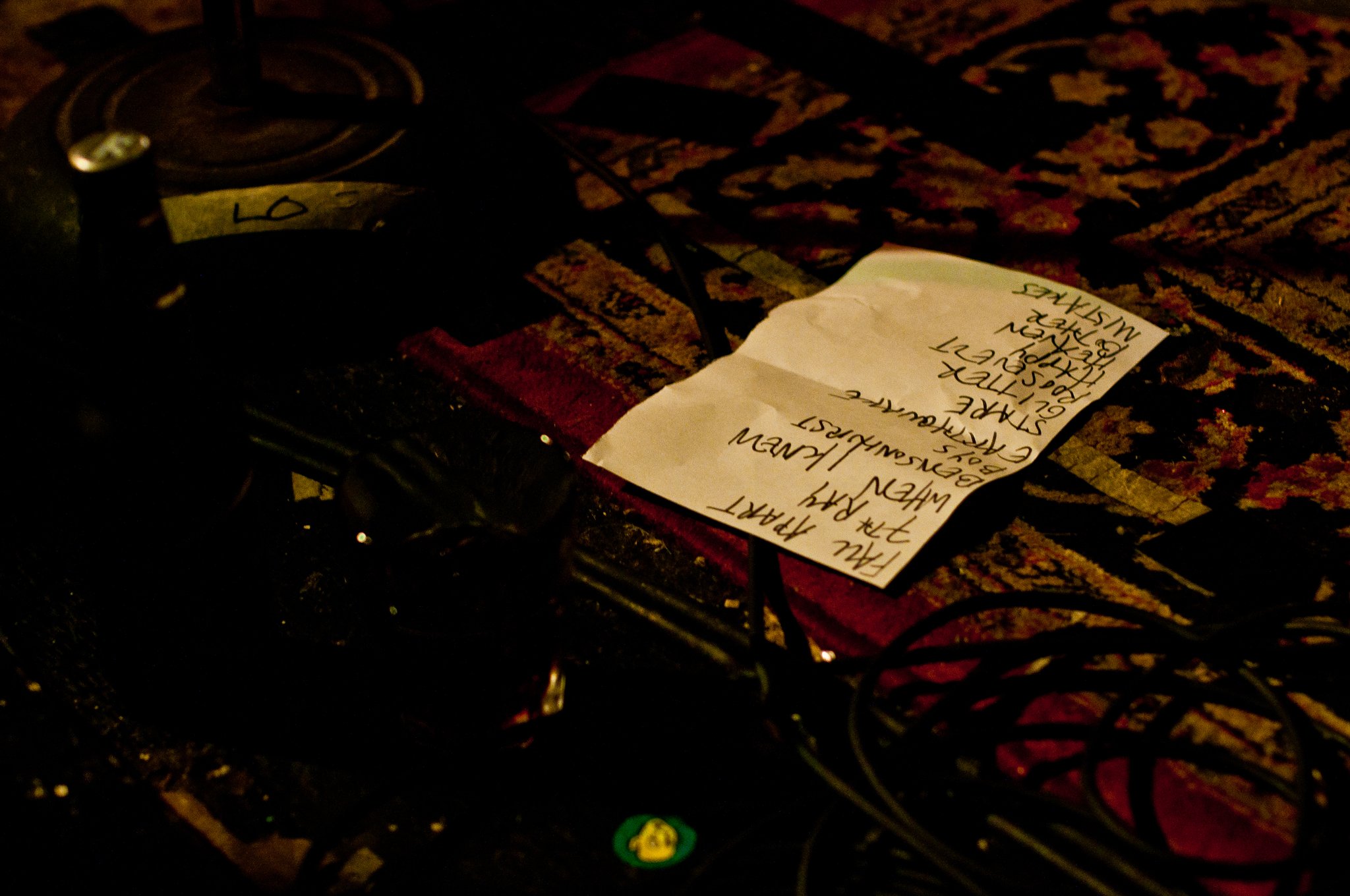 Eleanor Friedberger - photo 14
