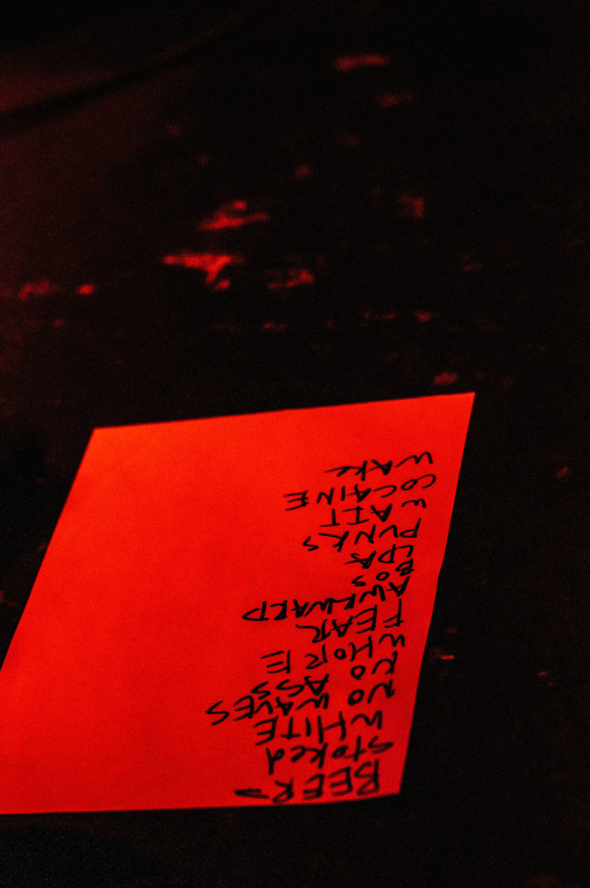 FIDLAR - photo 10