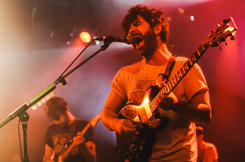 Foals - photo 11