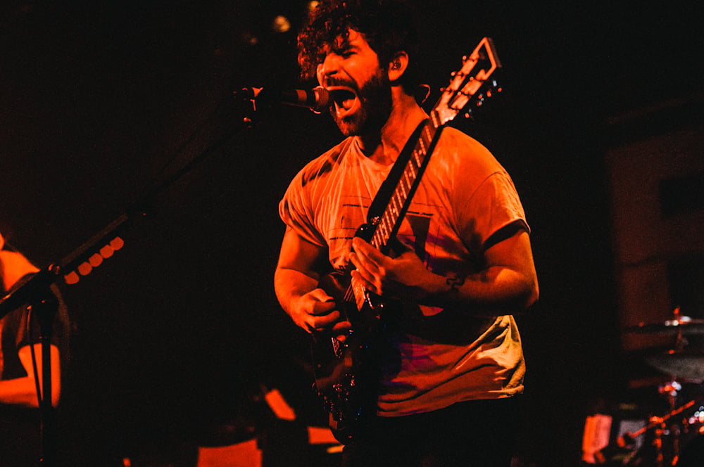 Foals - photo 14
