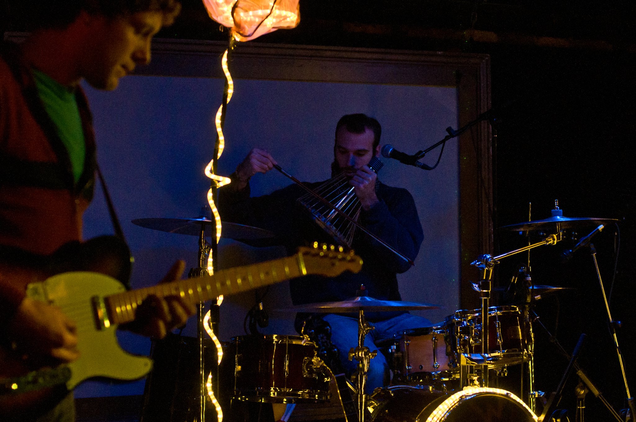 Freelance Whales - photo 4