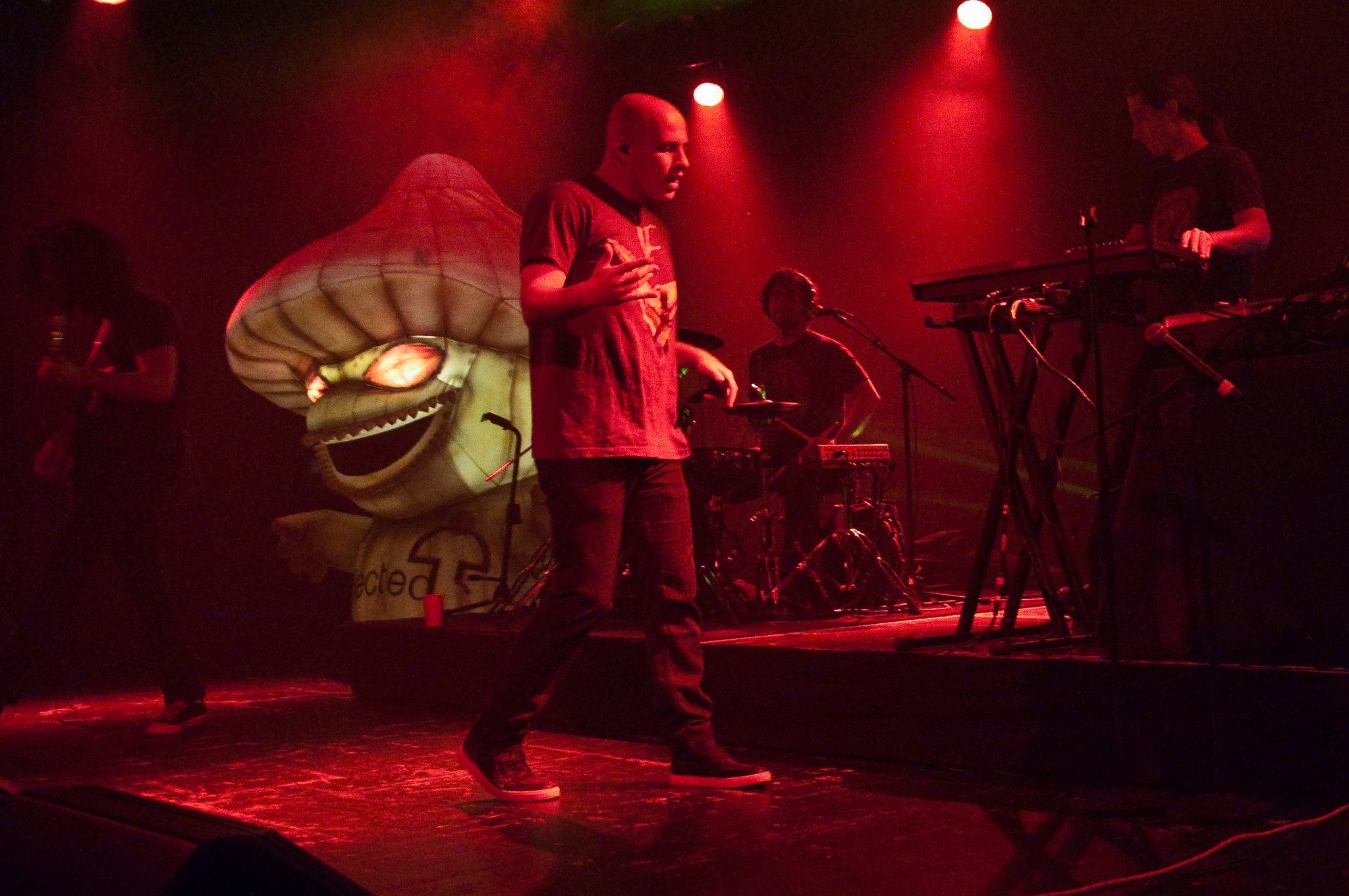 Infected Mushroom - photo 16