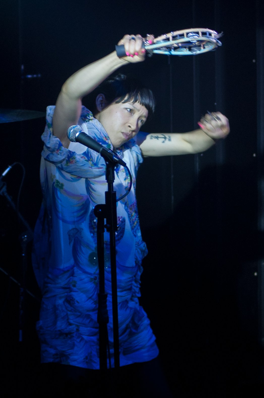 Little Dragon - photo 2