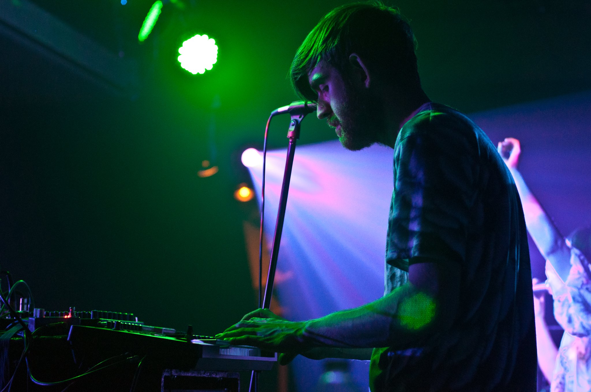 Little Dragon - photo 4