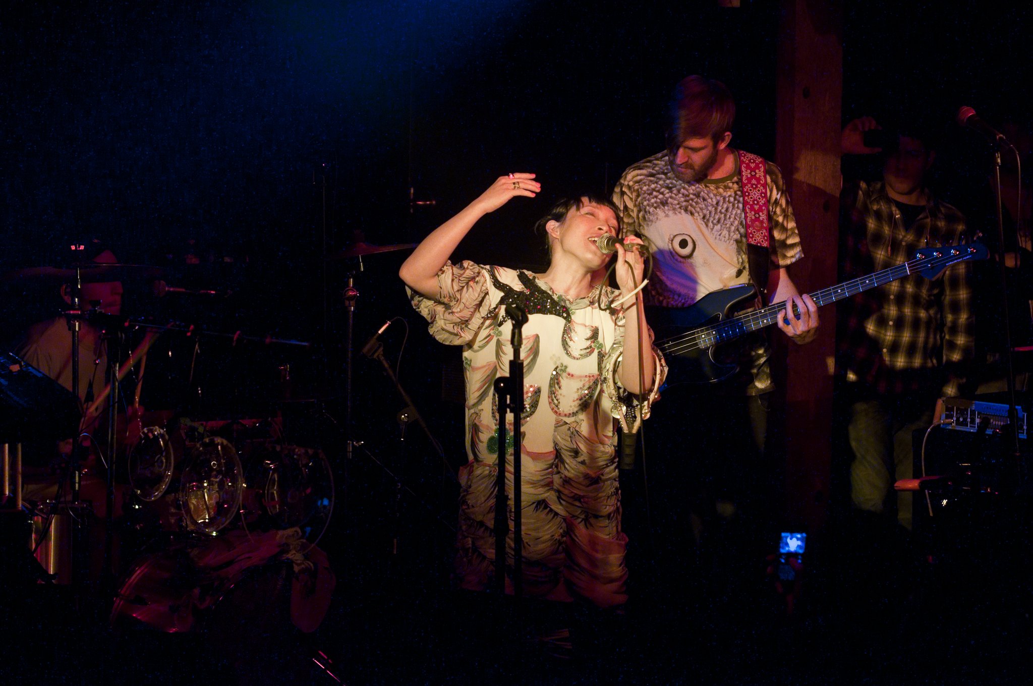 Little Dragon - photo 8