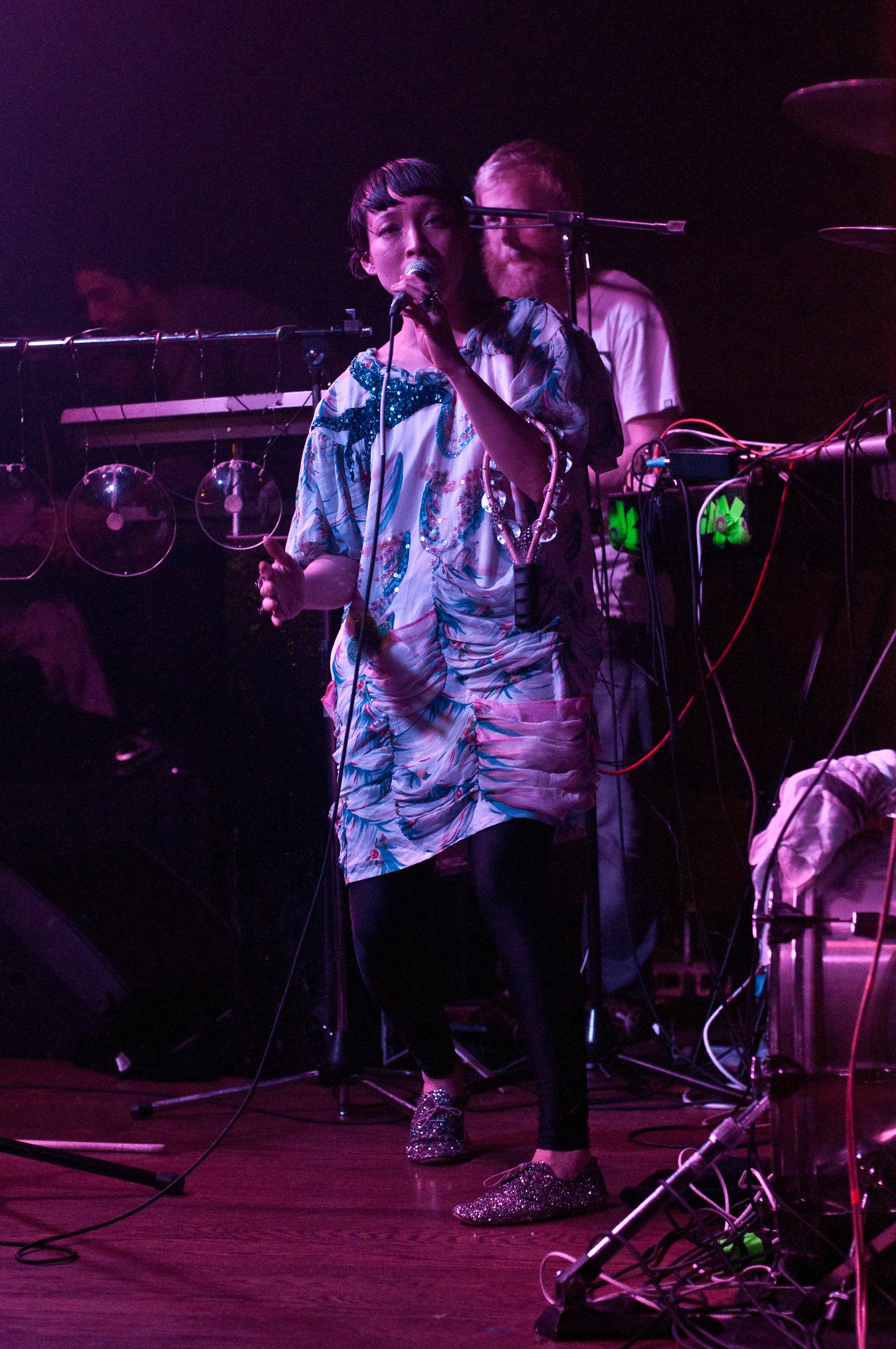 Little Dragon - photo 12