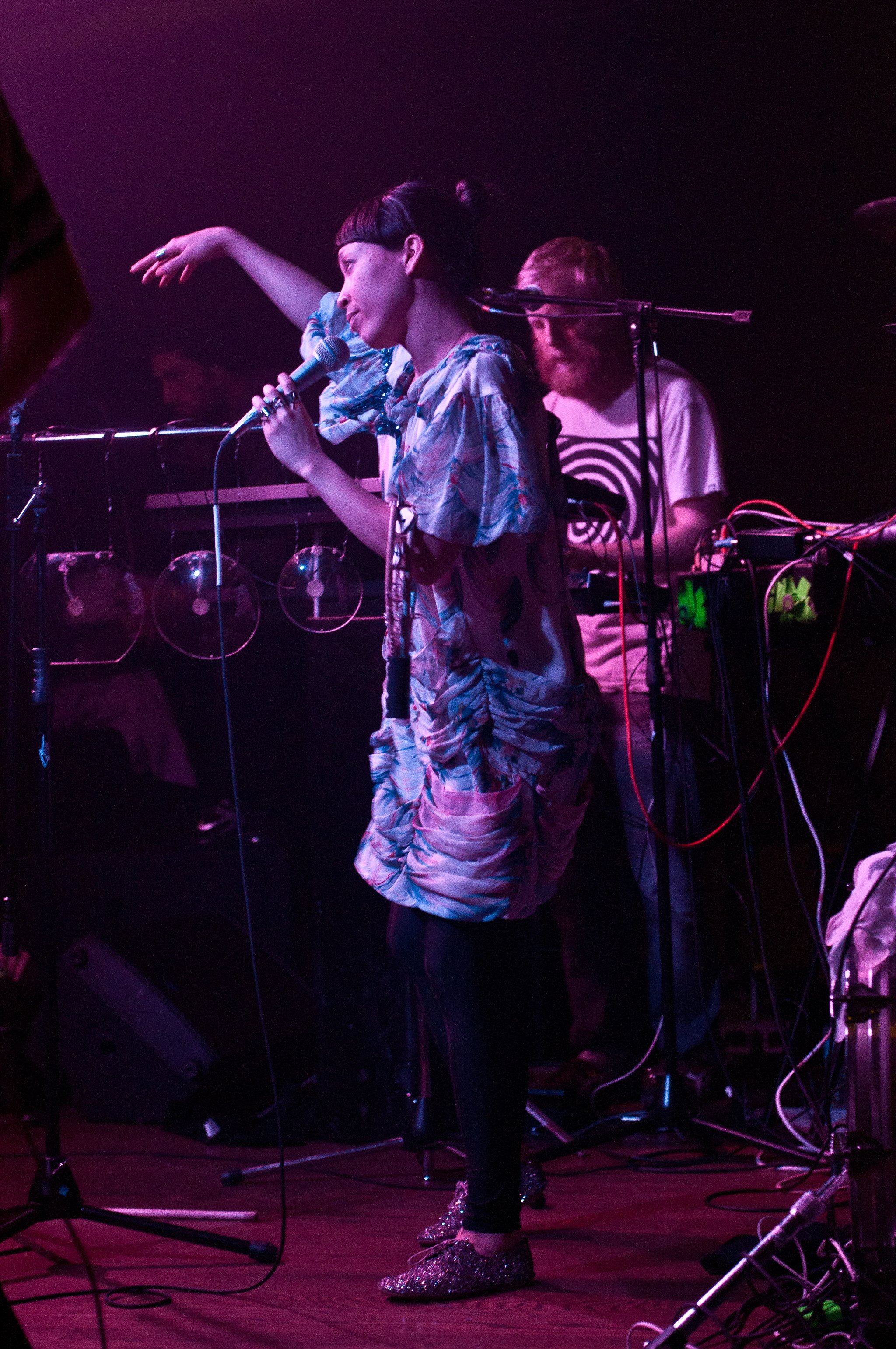 Little Dragon - photo 13