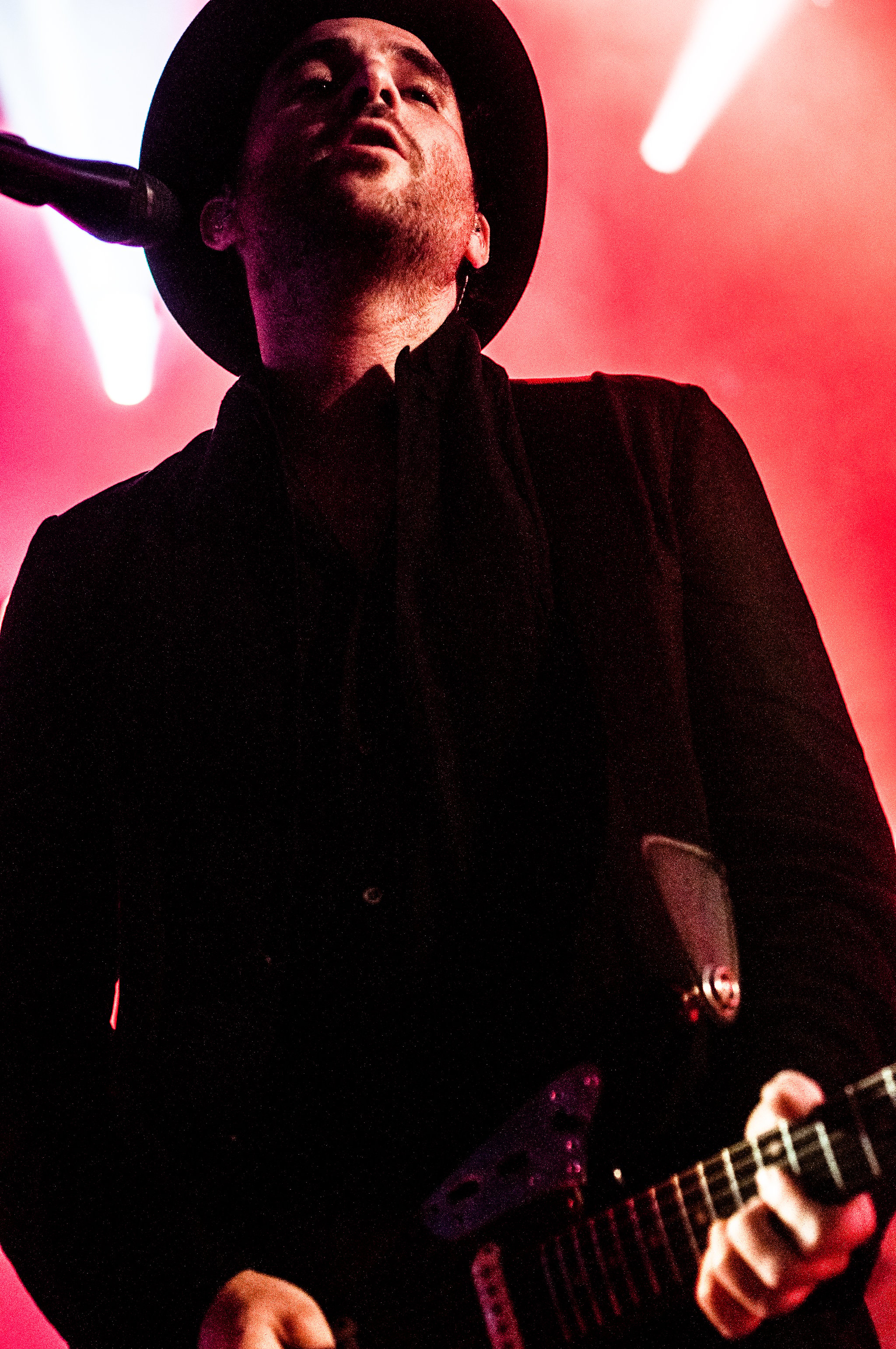 Metric - photo 21