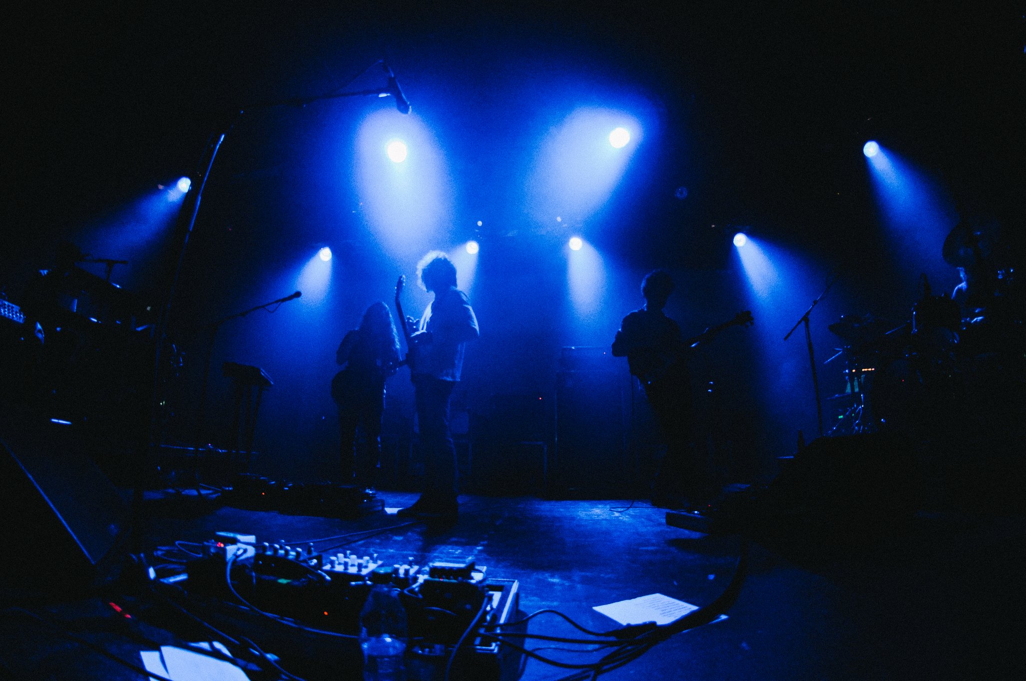 MGMT - photo 4