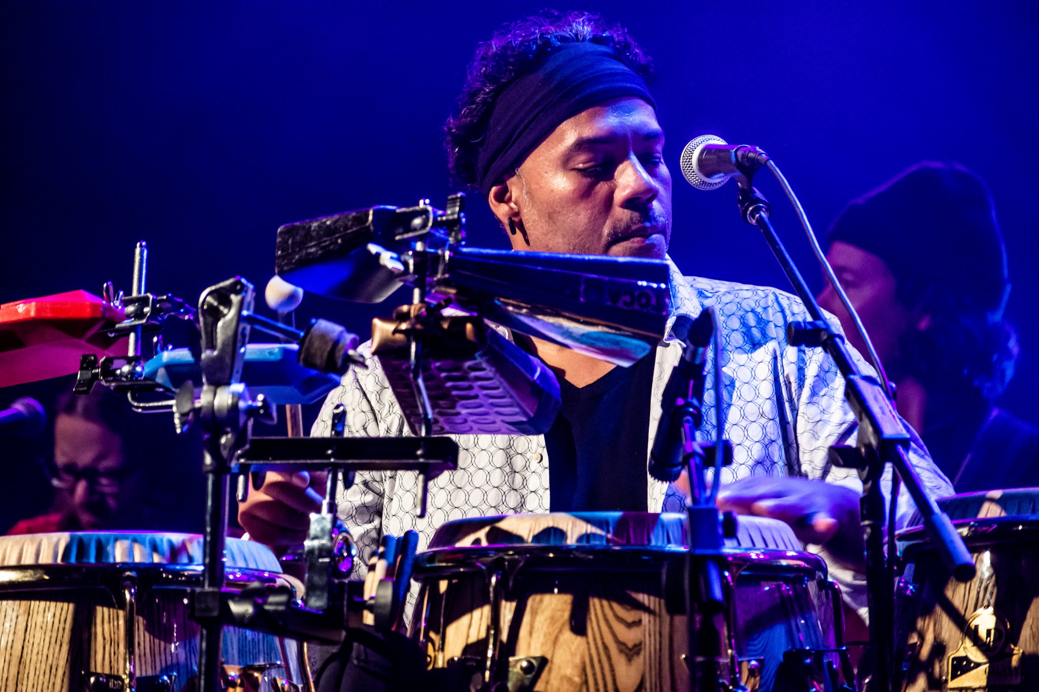 Antibalas - photo 9