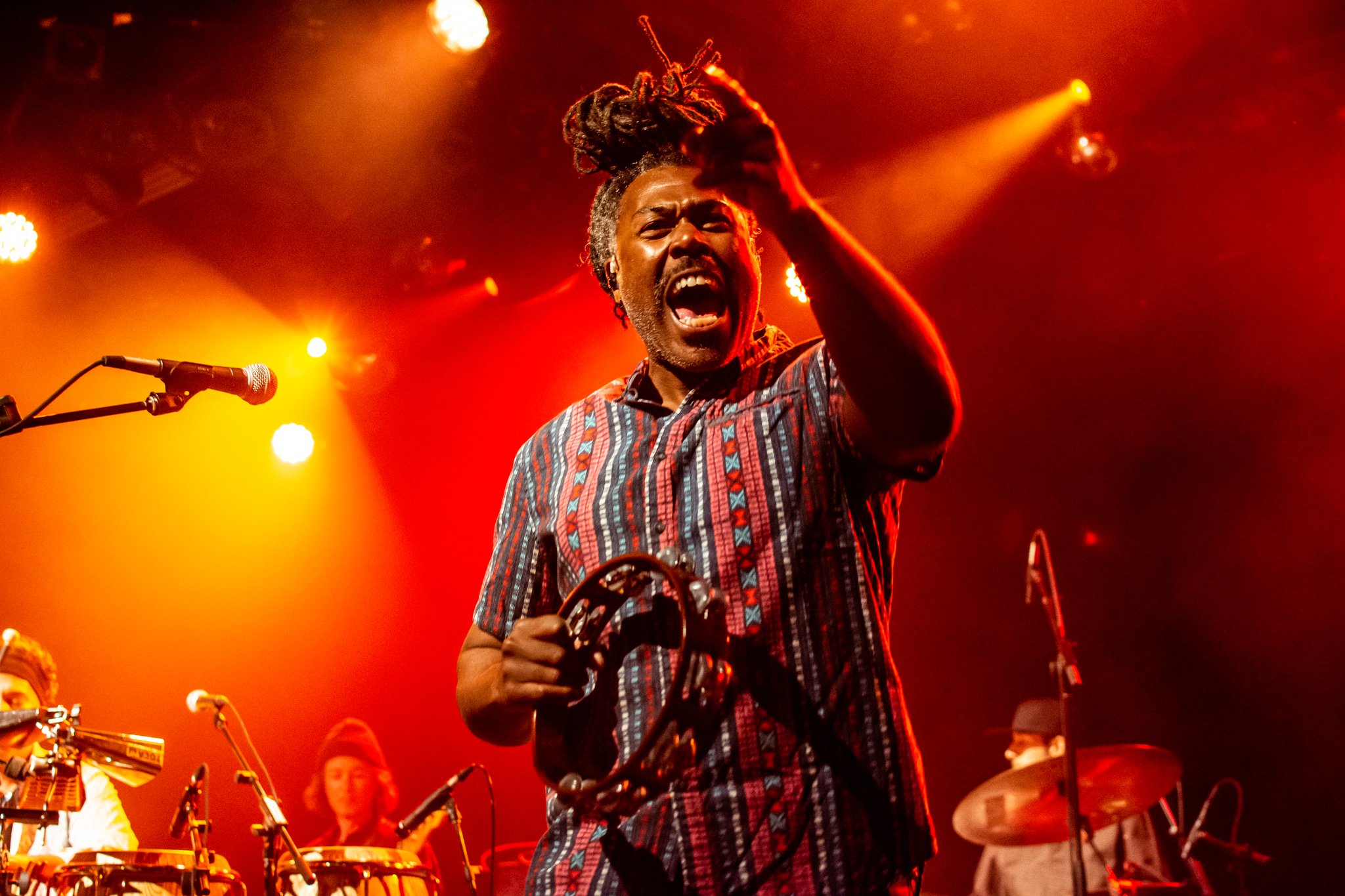 Antibalas - photo 13
