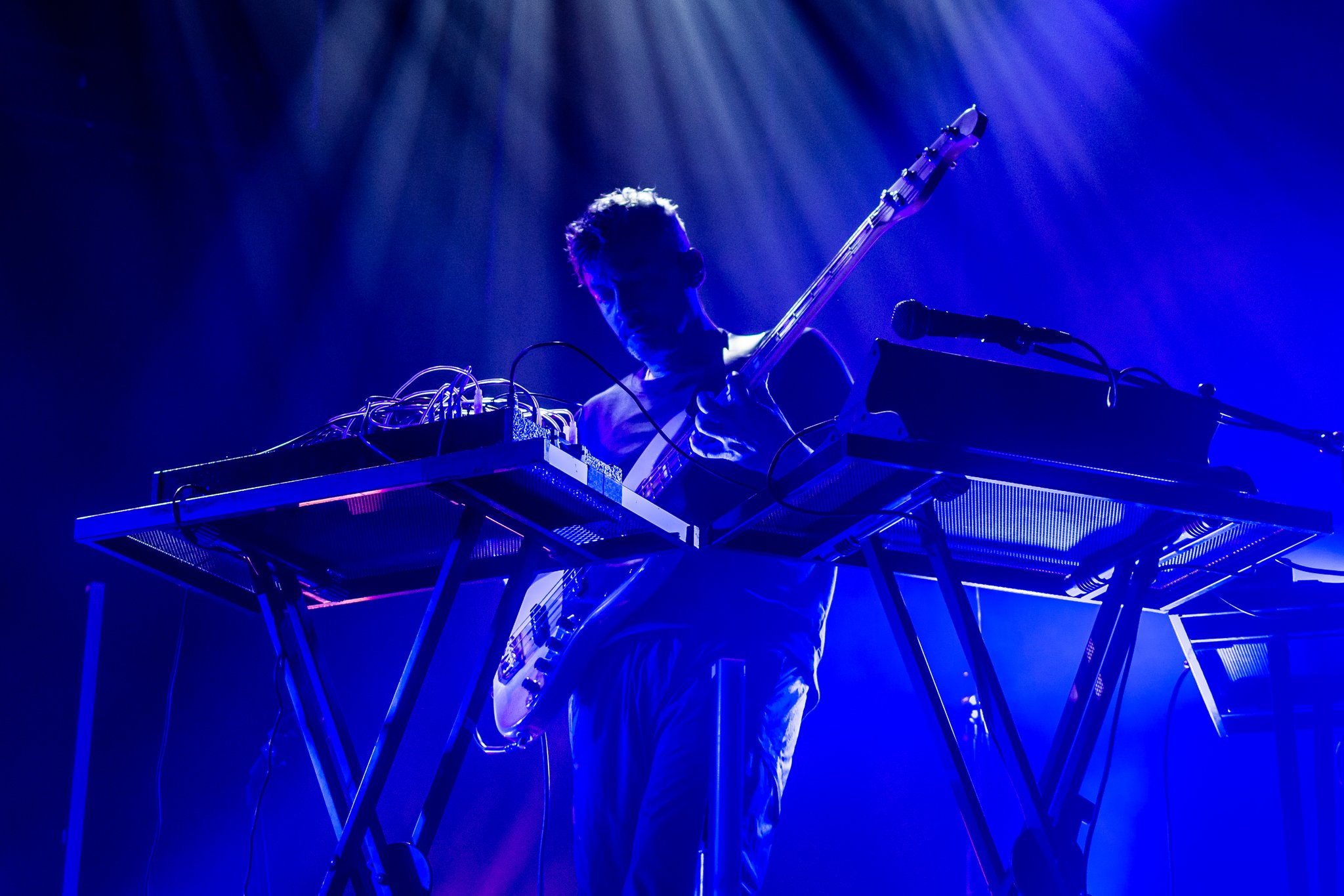 Bonobo - photo 2