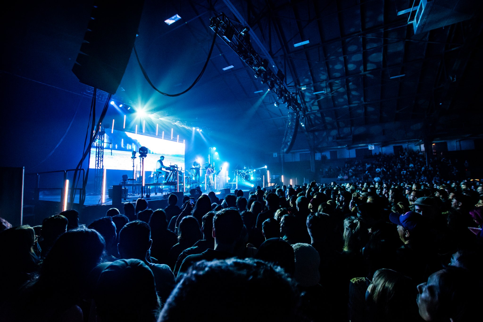 Bonobo - photo 6
