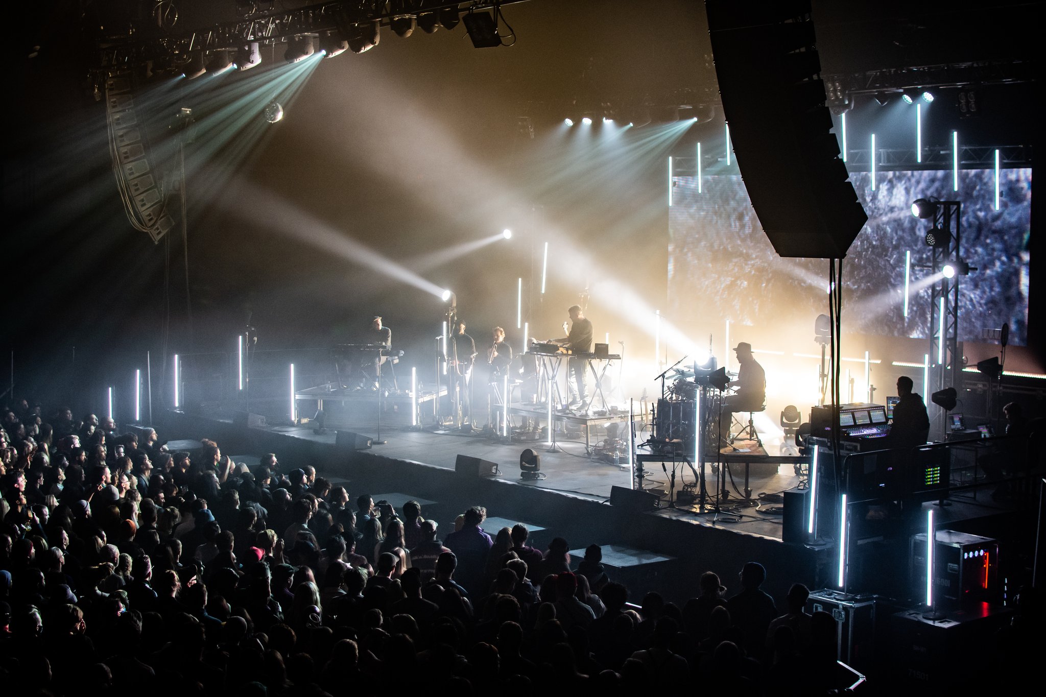 Bonobo - photo 10