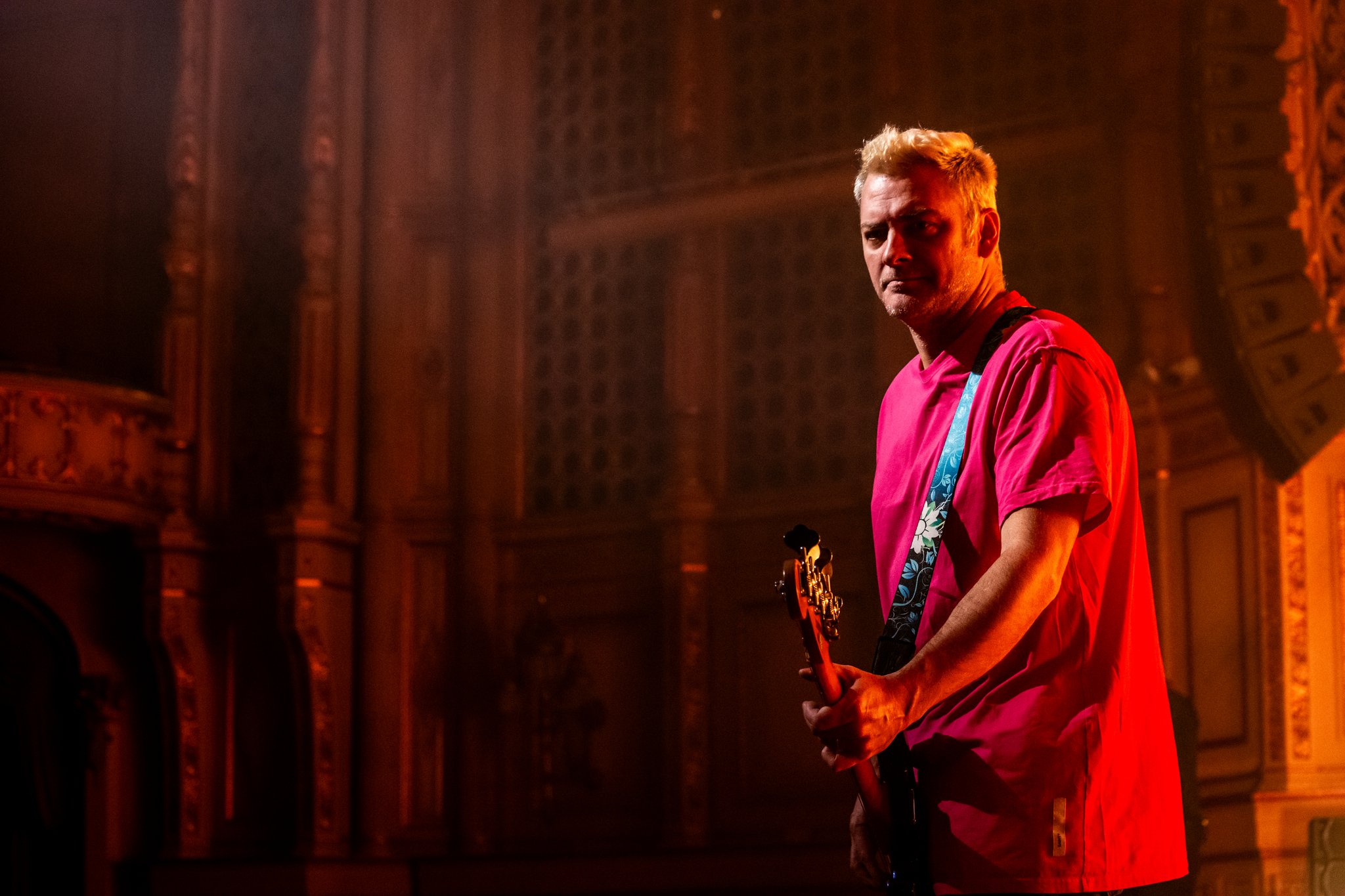 Bush - photo 4