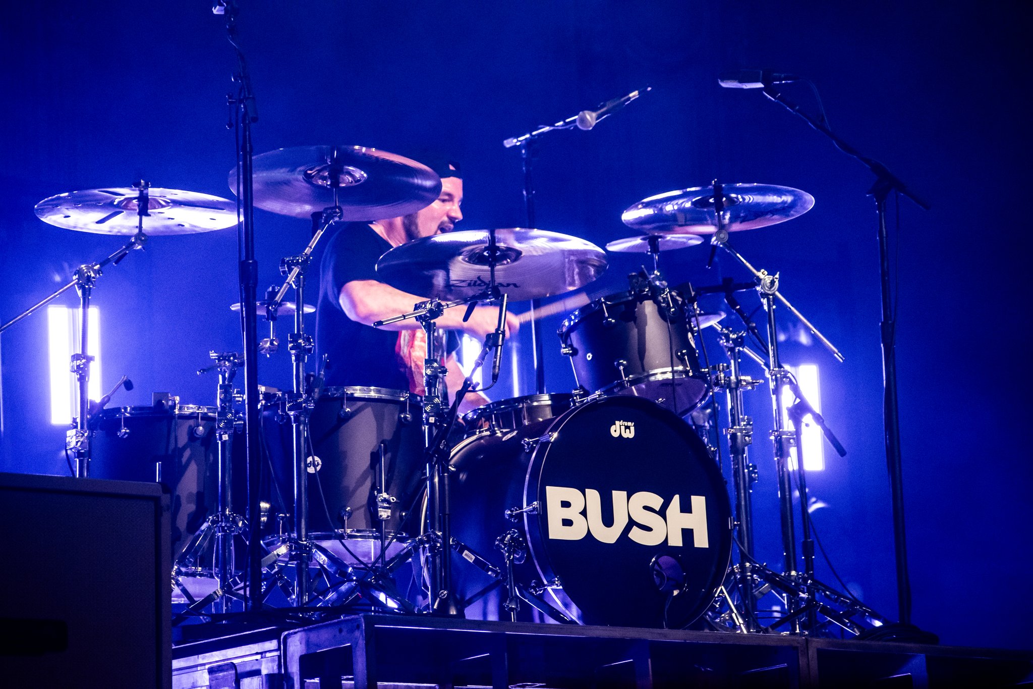 Bush - photo 17