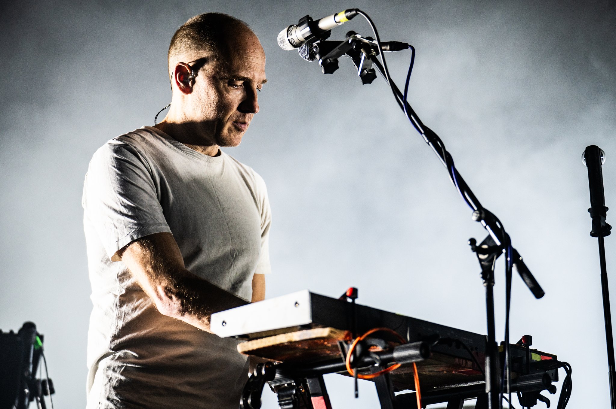 Caribou - photo 2