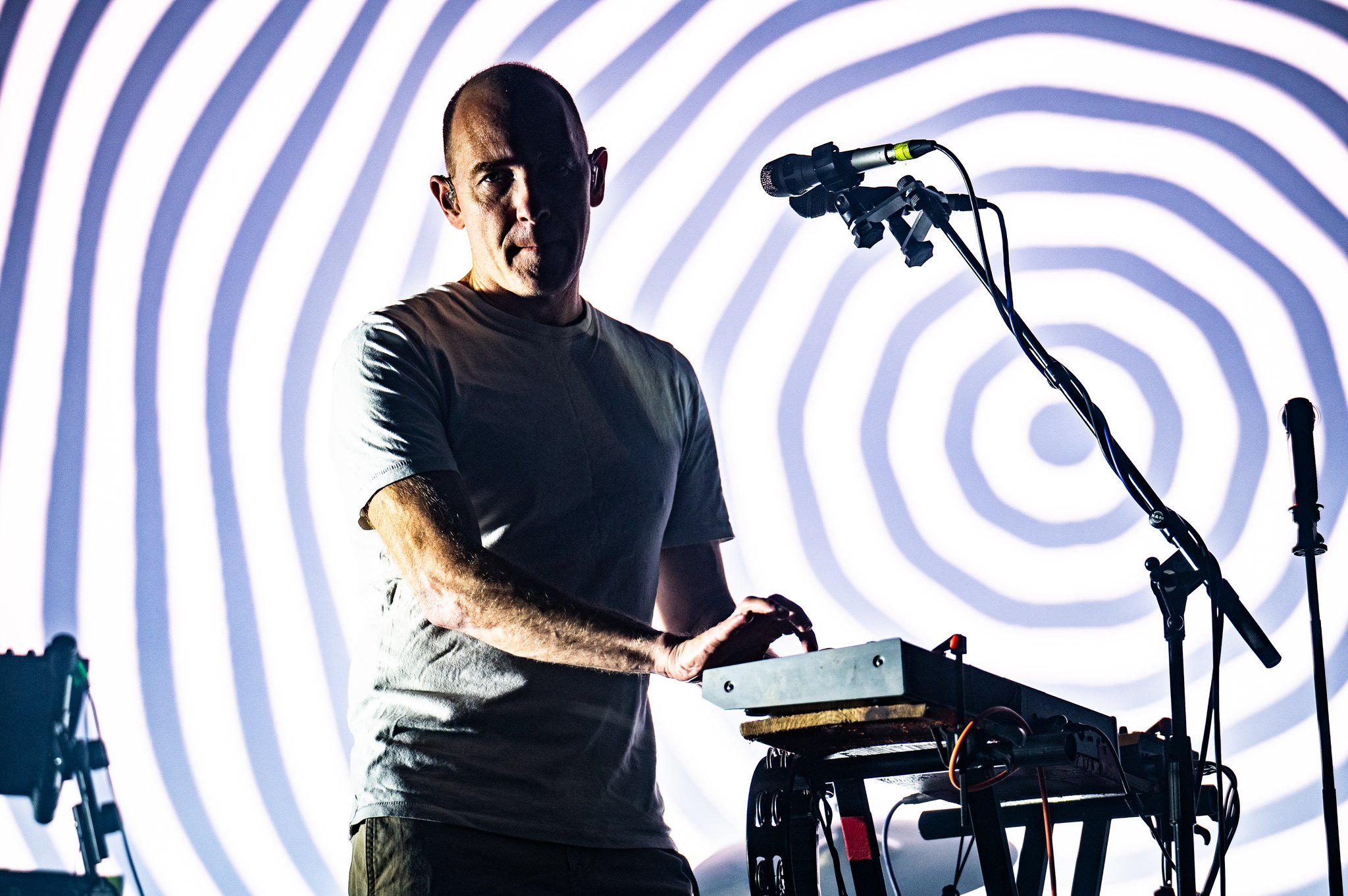 Caribou - photo 6