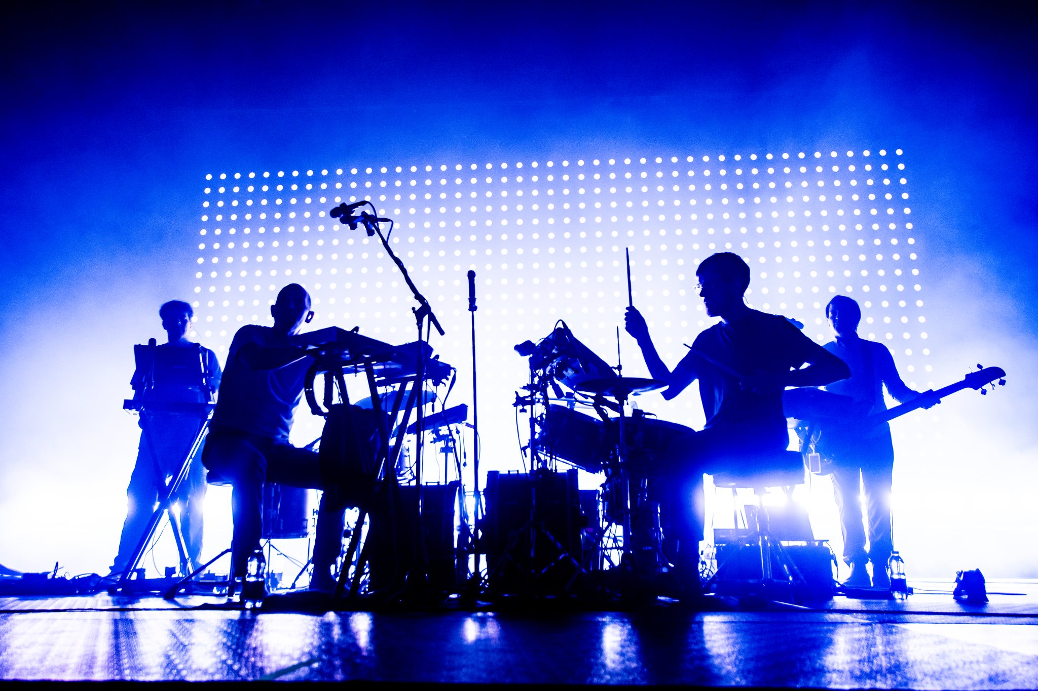 Caribou - photo 10