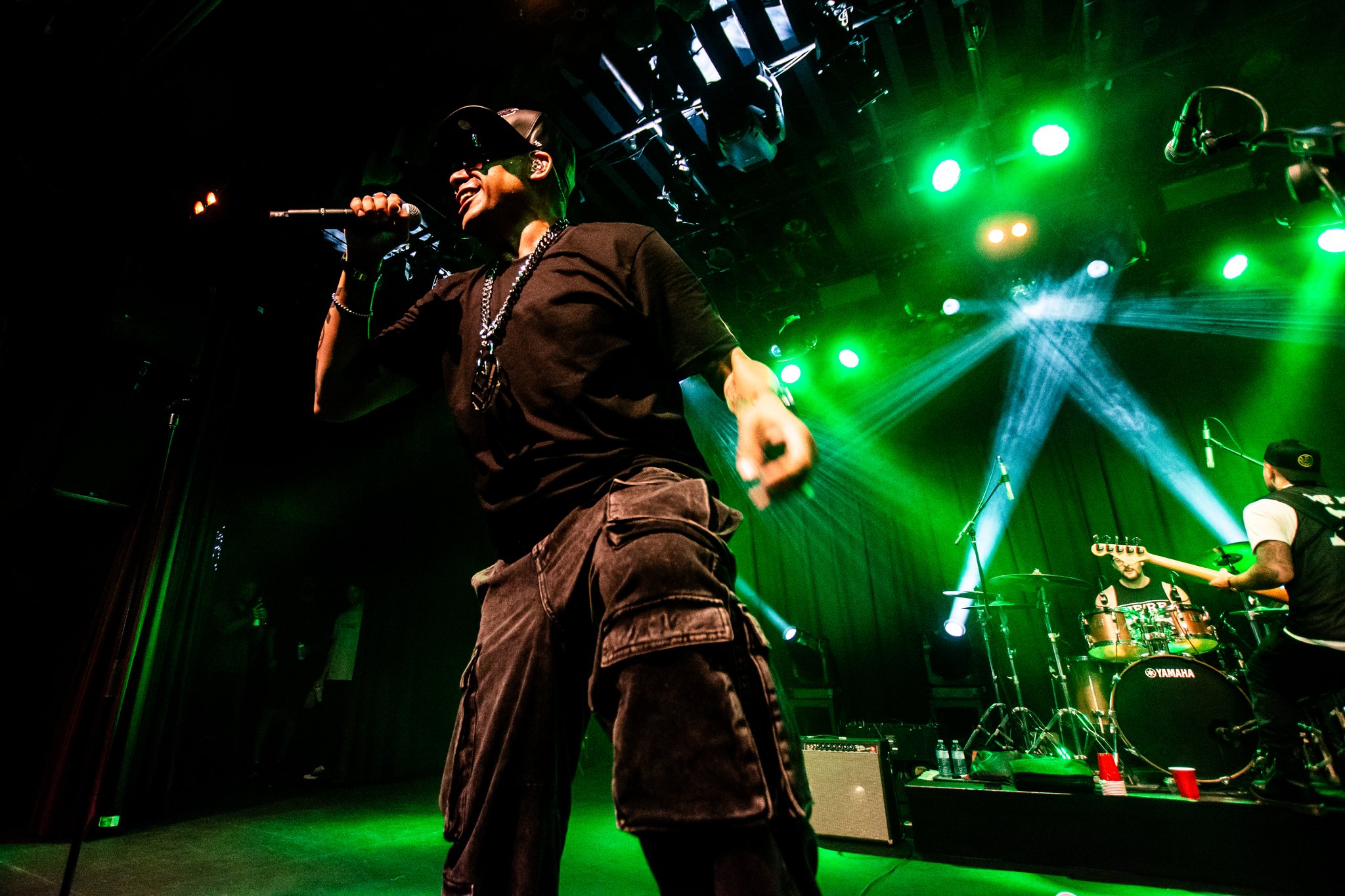 Down With Webster - photo 12