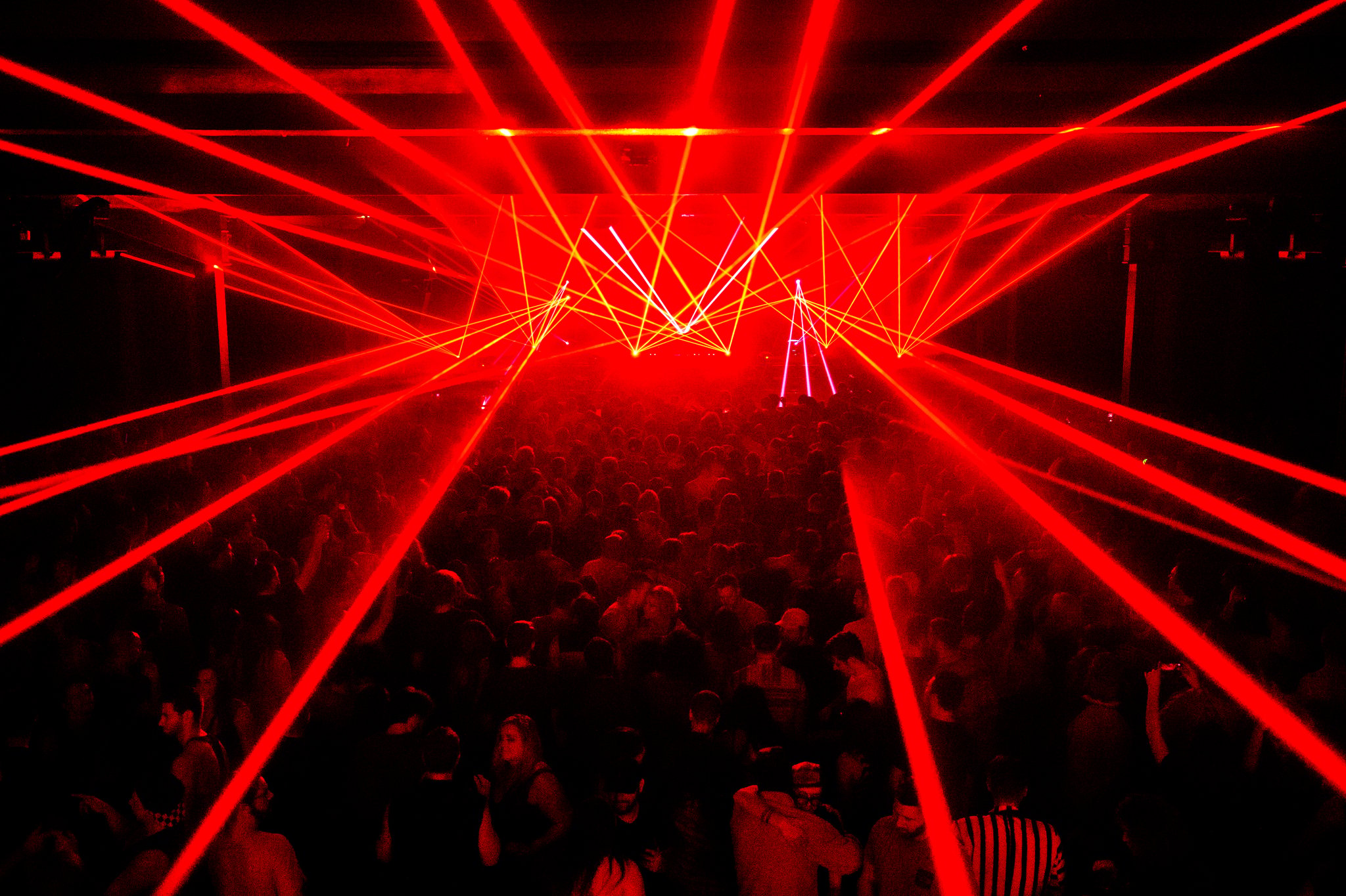 GRiZ - photo 19