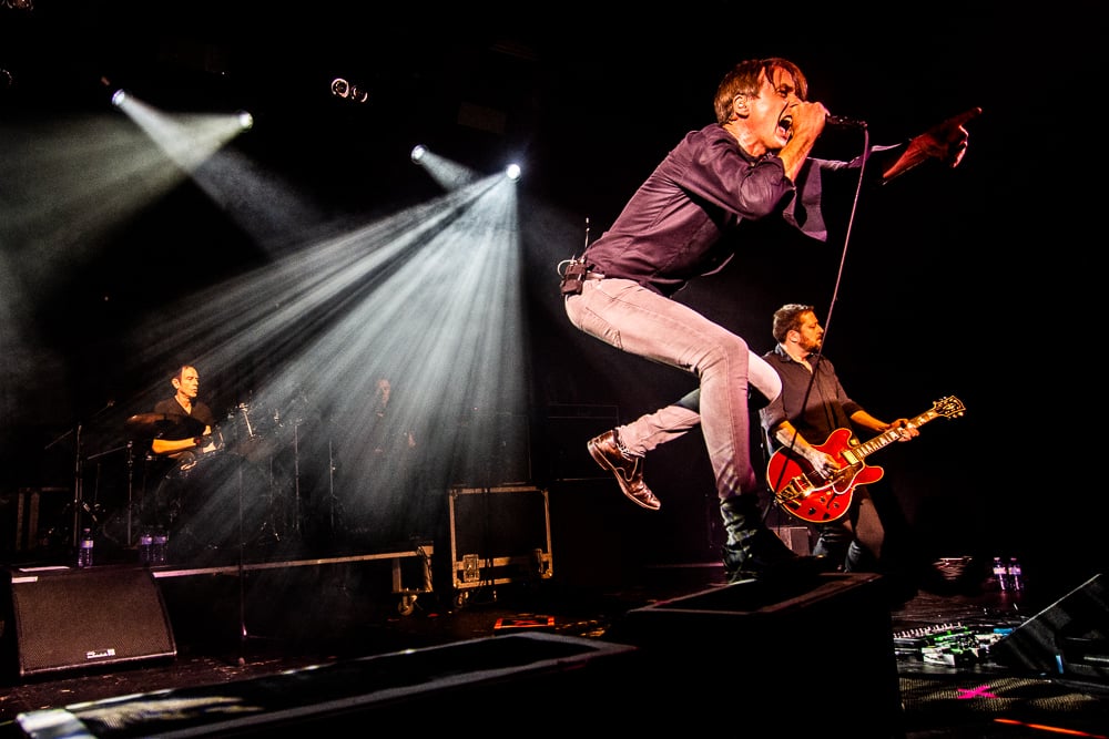 London Suede - photo 3
