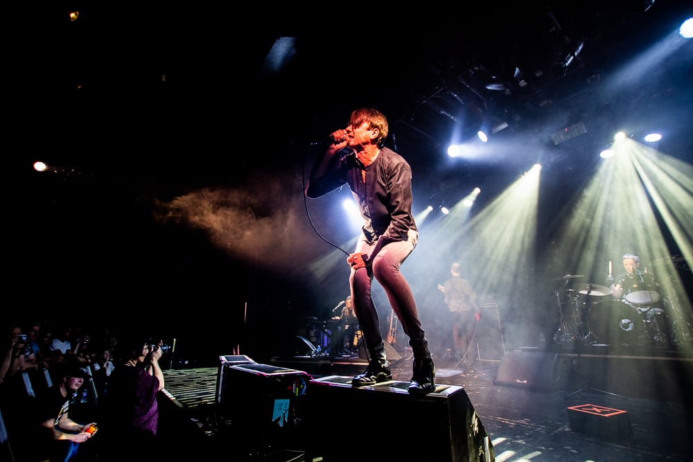 London Suede - photo 12
