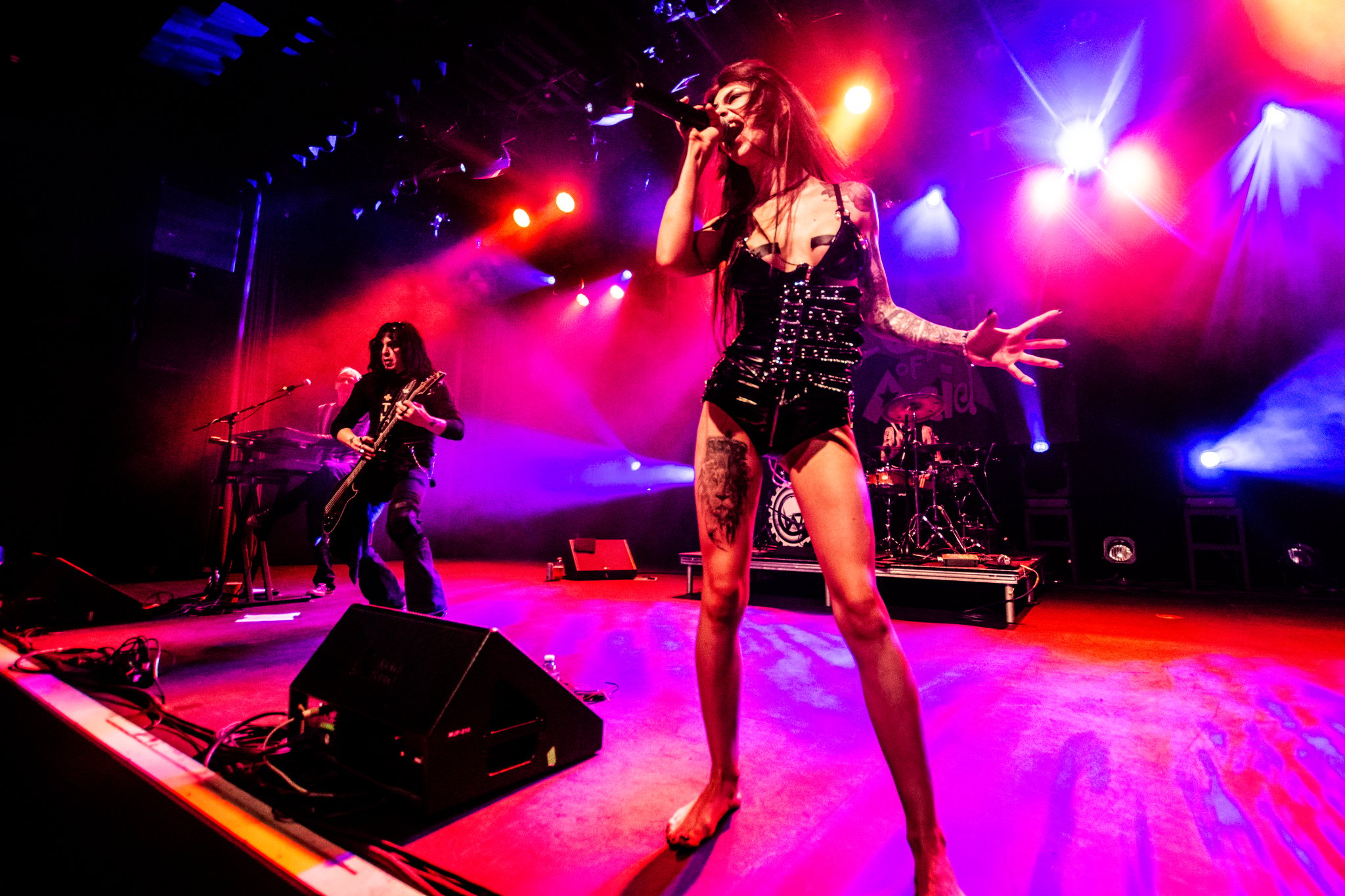 Lords of Acid - photo 15