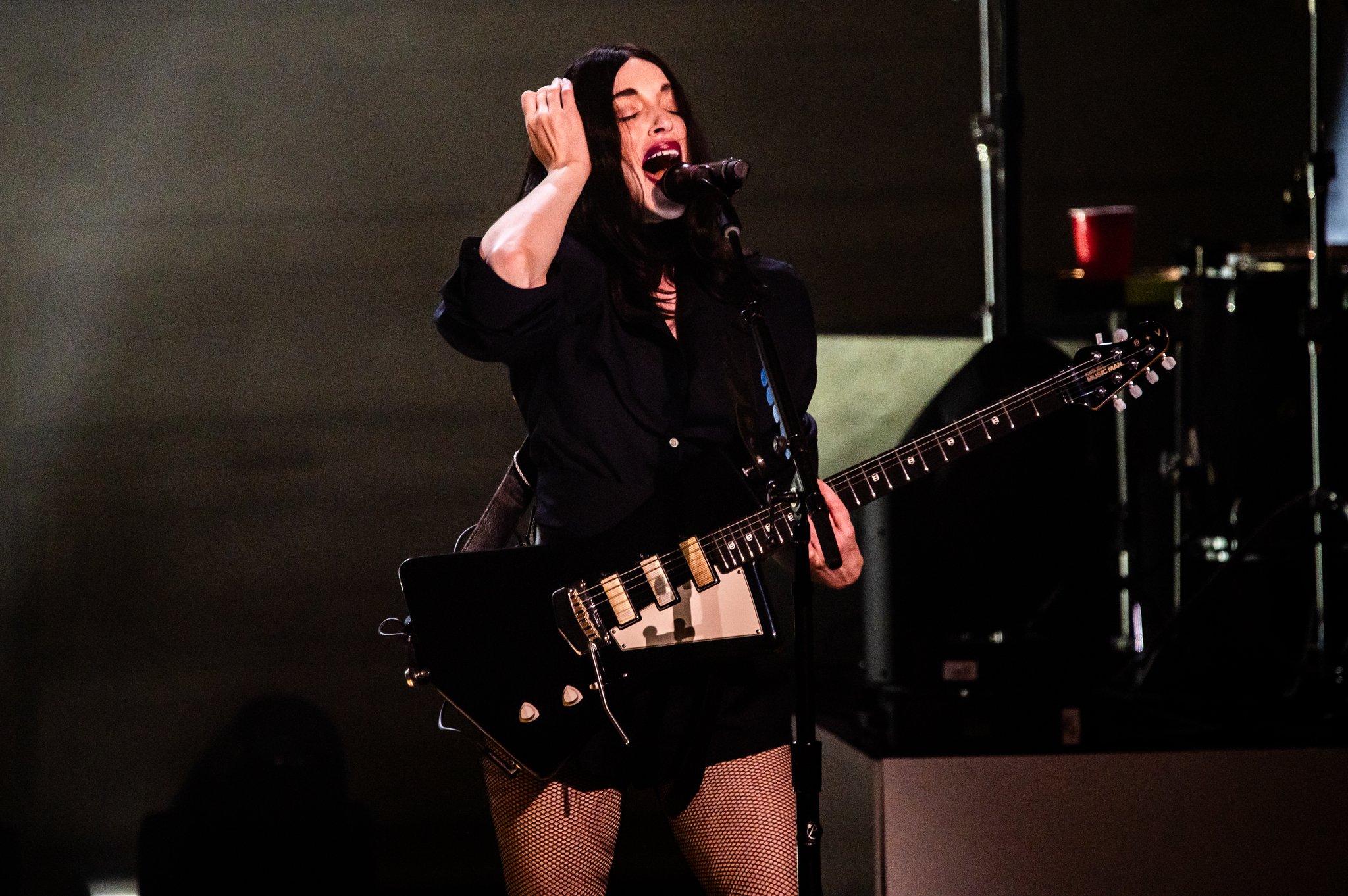 St Vincent - photo 7