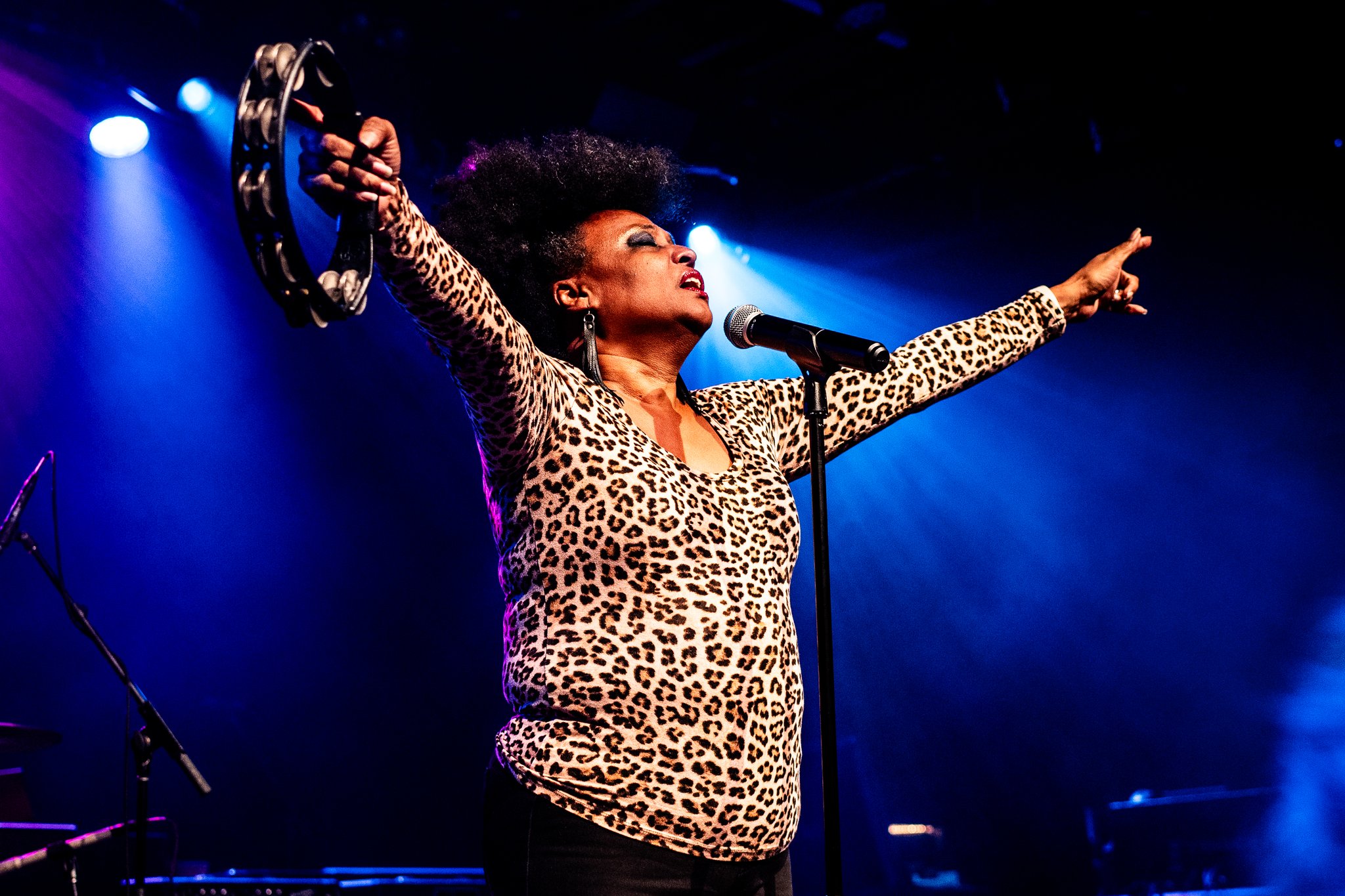 The Bellrays - photo 1