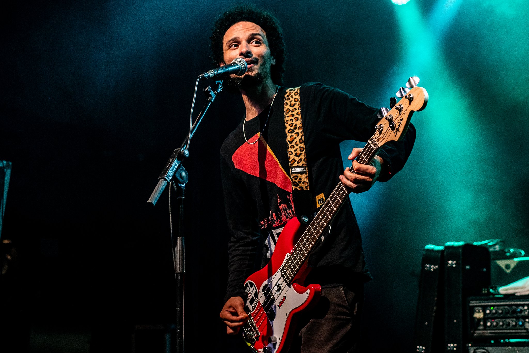 The Bellrays - photo 3