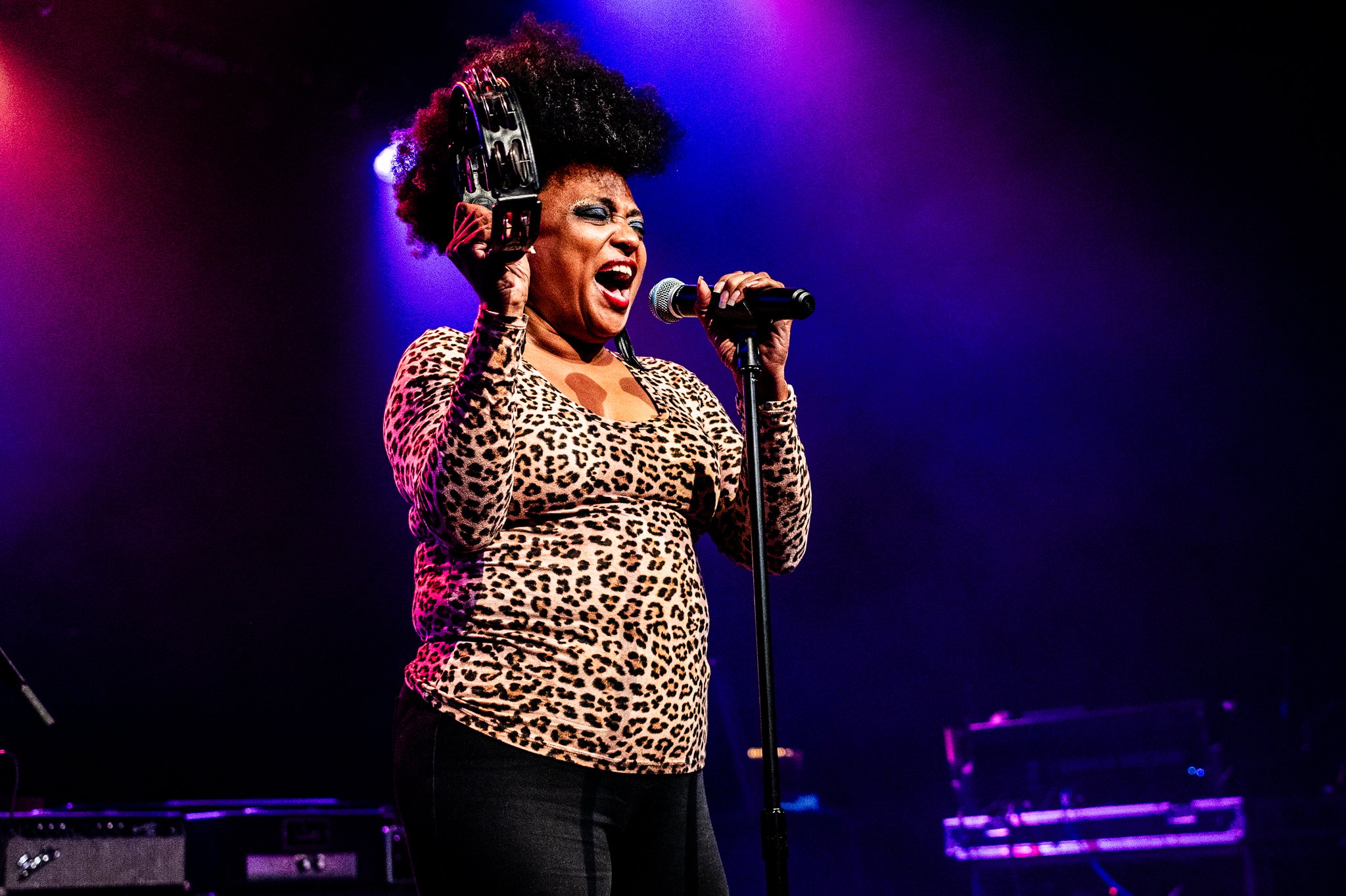The Bellrays - photo 4