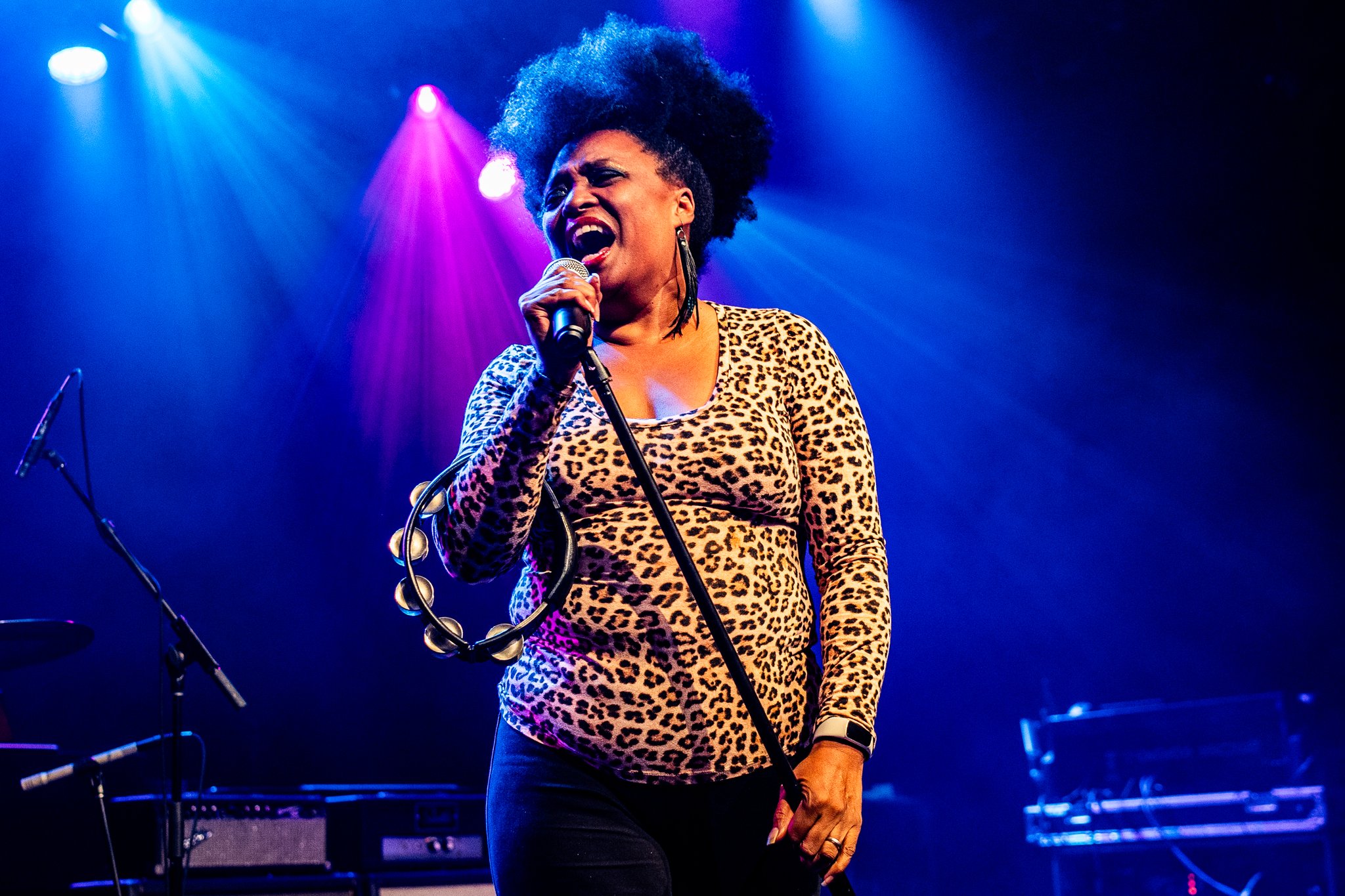 The Bellrays - photo 8