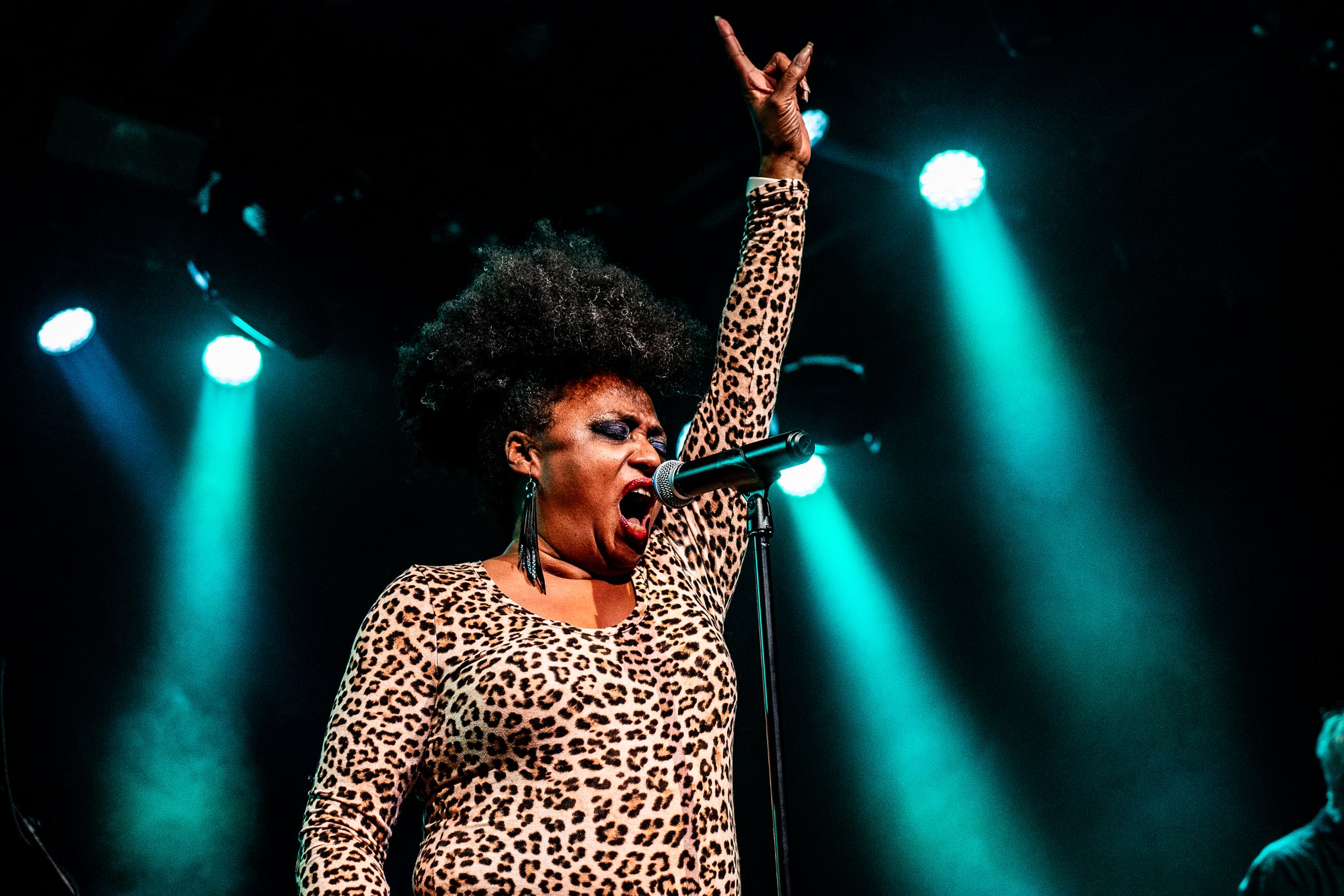 The Bellrays - photo 12