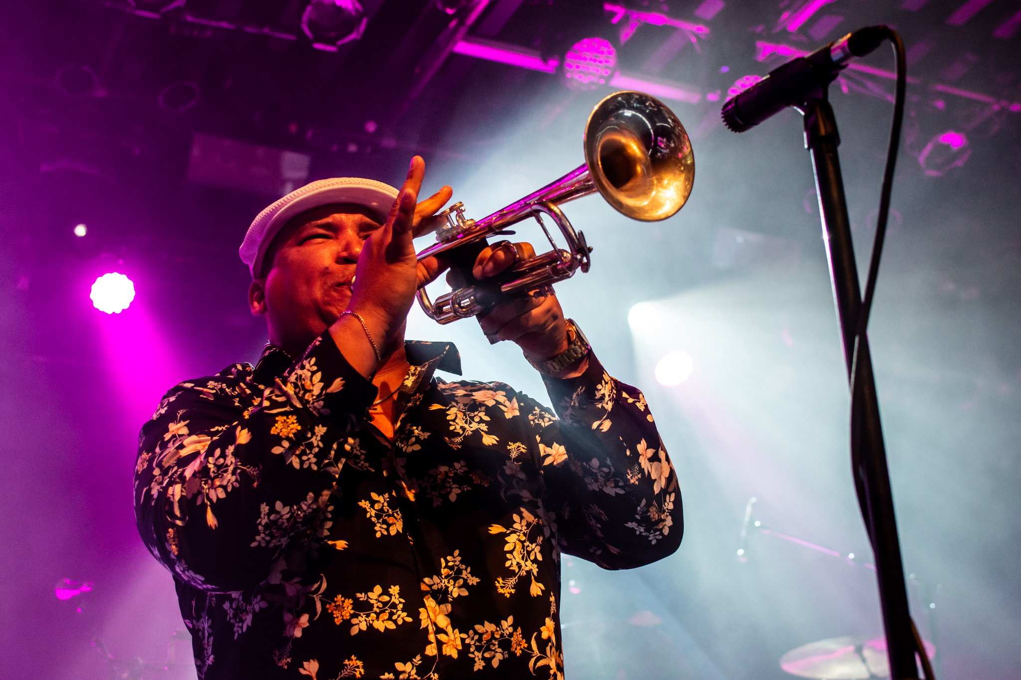 The Cat Empire - photo 8
