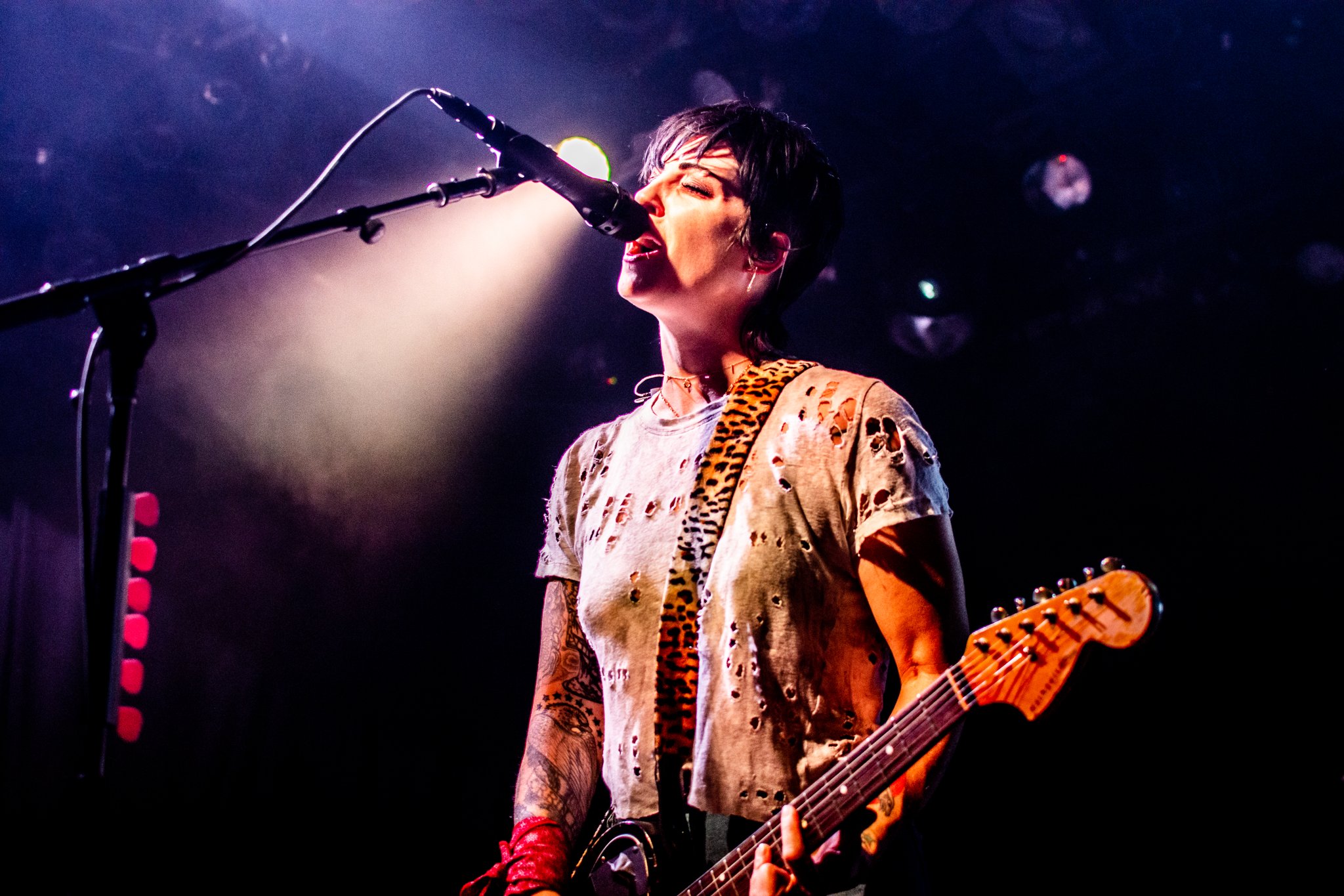The Distillers - photo 4
