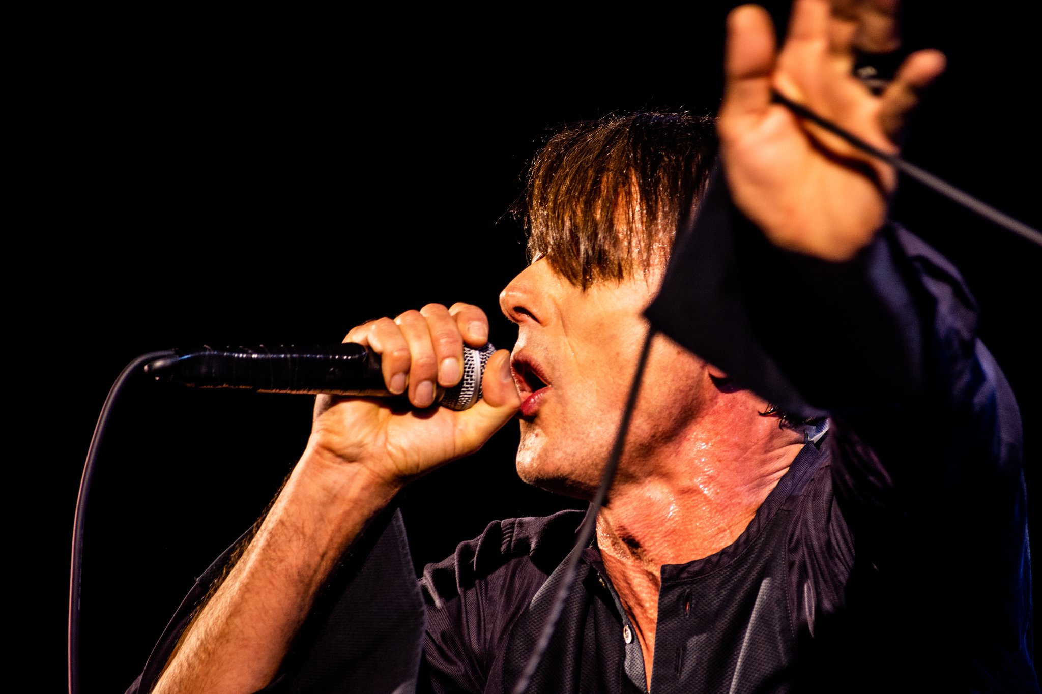 The London Suede - photo 11