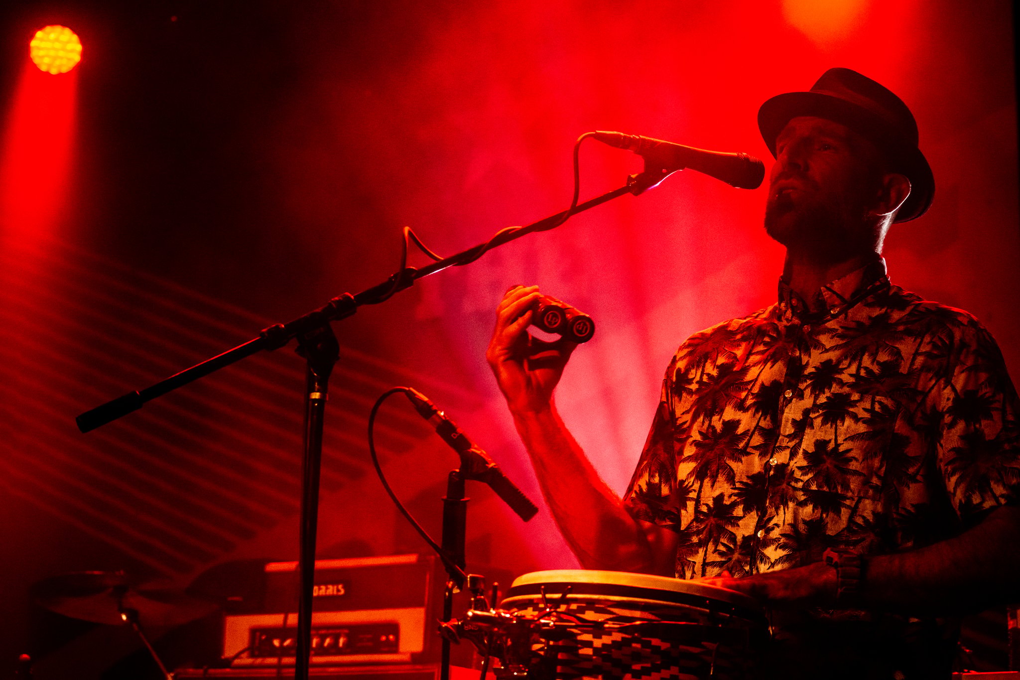 The Trews - photo 12