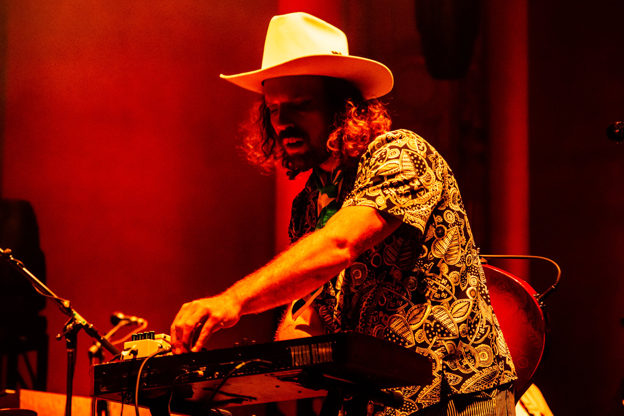 Yukon Blonde - photo 7