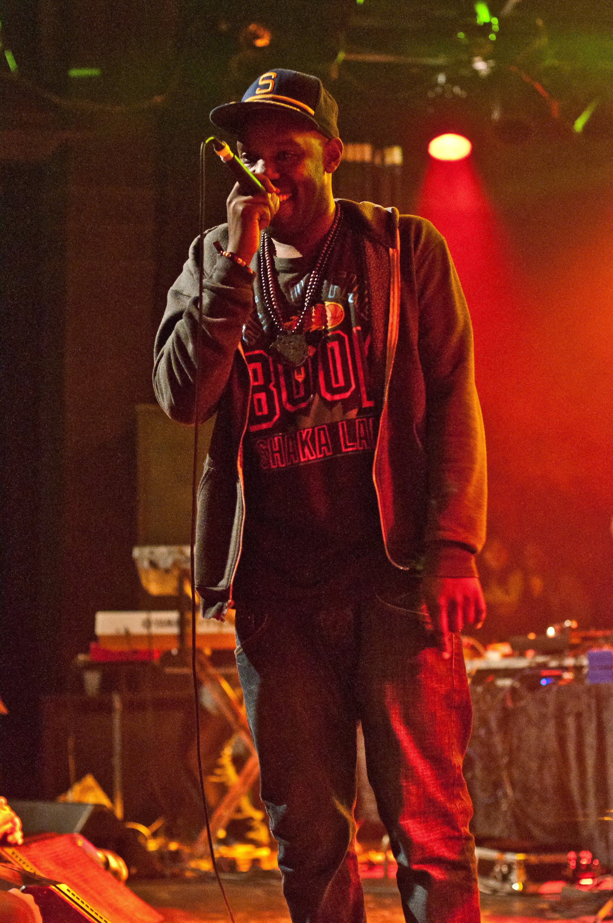 Shad - photo 9